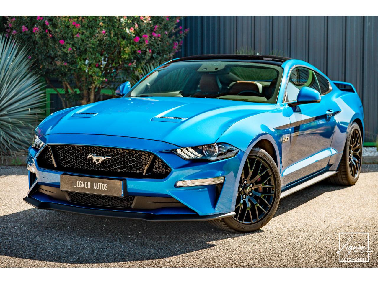 1632 FORD MUSTANG GT 5.0L V8 450CH BVM6 PREMIUM + B&O