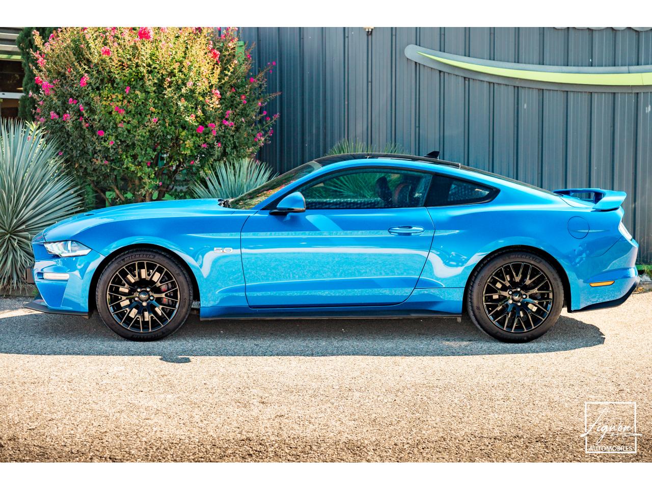 Photo FORD MUSTANG GT 5.0L V8 450CH BVM6 PREMIUM + B&O