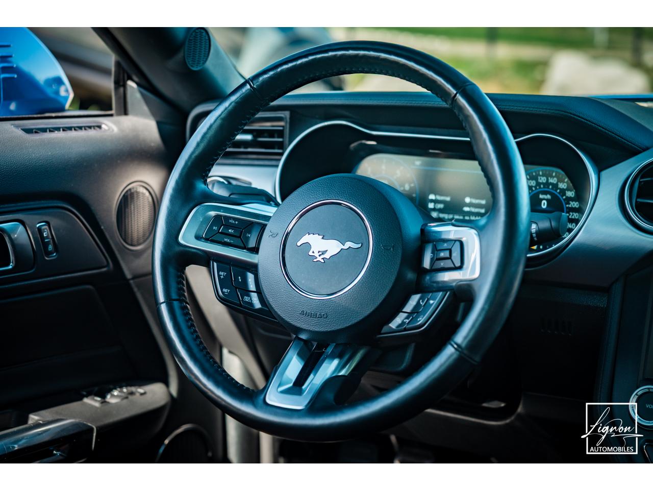 Photo FORD MUSTANG GT 5.0L V8 450CH BVM6 PREMIUM + B&O