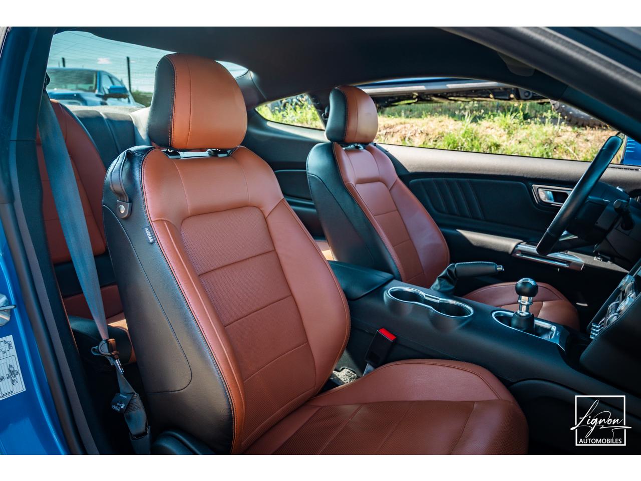 Photo FORD MUSTANG GT 5.0L V8 450CH BVM6 PREMIUM + B&O