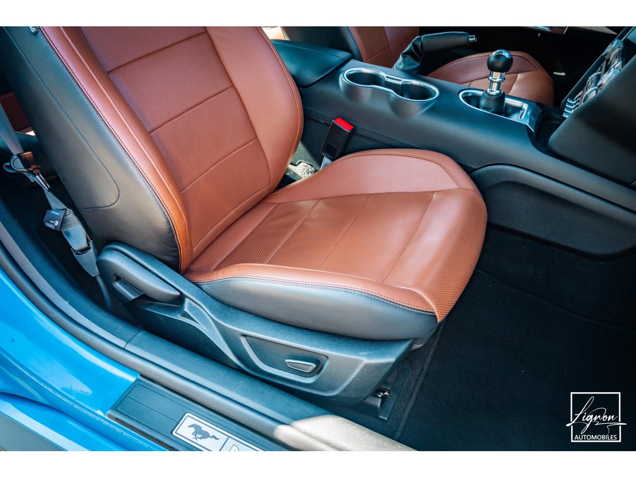 Photo FORD MUSTANG GT 5.0L V8 450CH BVM6 PREMIUM + B&O