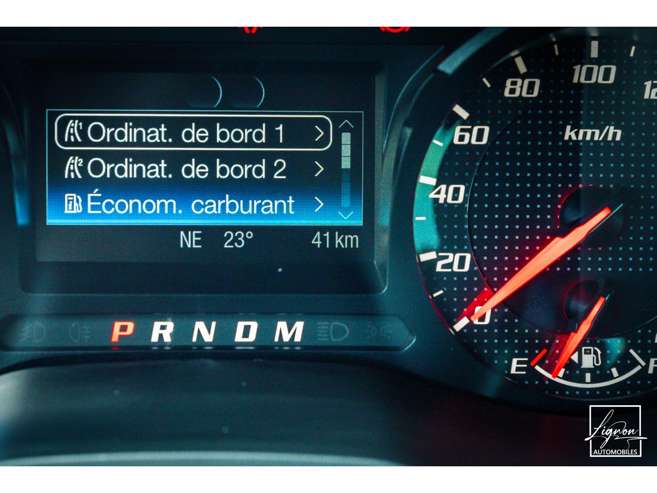 Photo FORD RANGER Raptor Double Cabine 2.0 TDCi 213 EcoBlue BVA10 - TVA APPARENTE - à partir de 512 euros