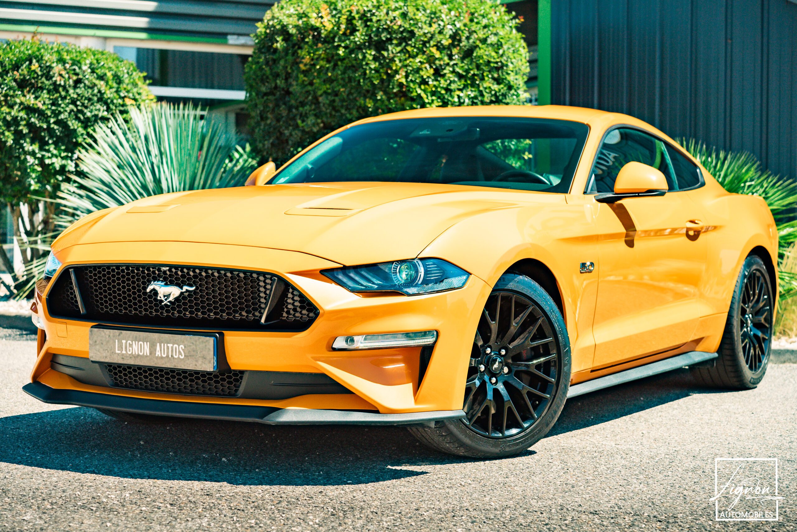 FORD MUSTANG Fastback GT 5.0L V8 450CH BVM Fury B&O – 7.500km – PAS DE MALUS