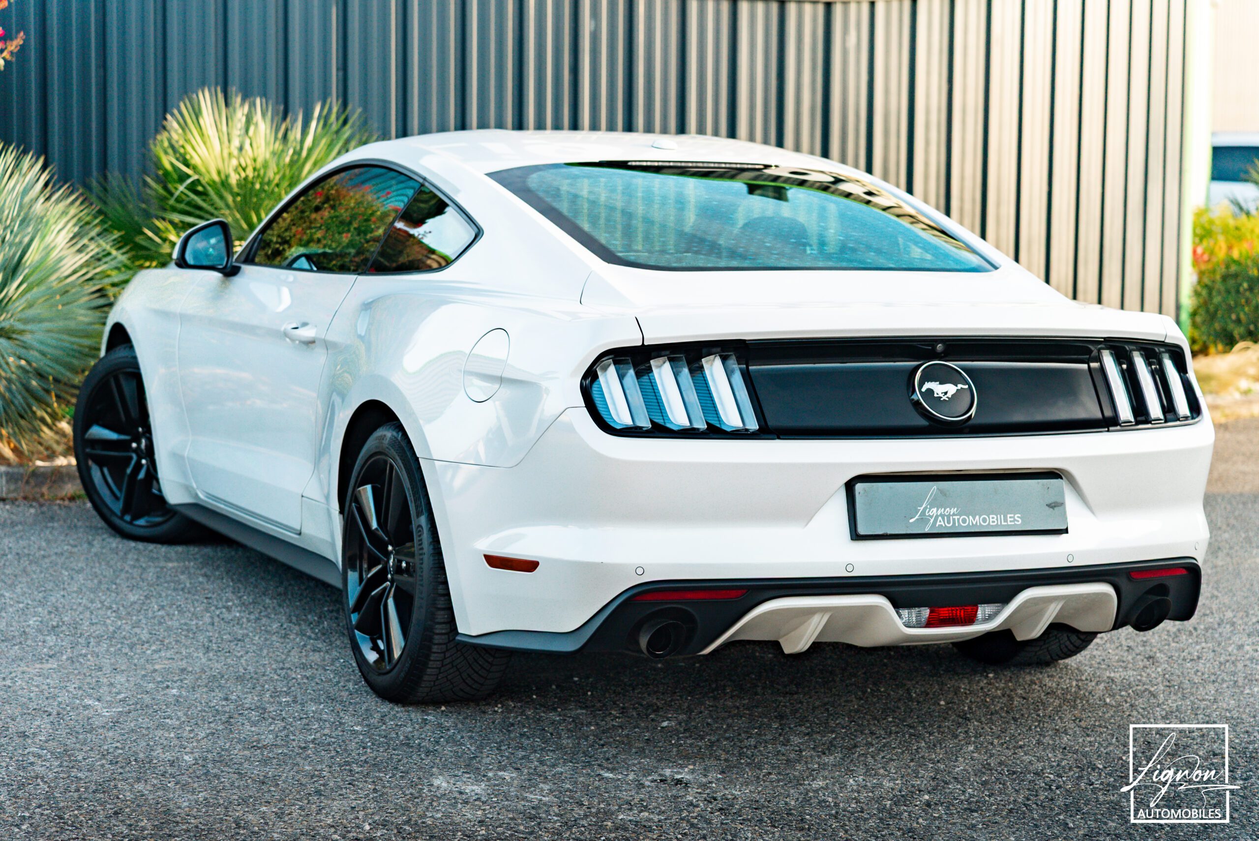 Photo Ford Mustang Fastback Ecoboost 2.3 317 ch BVM6