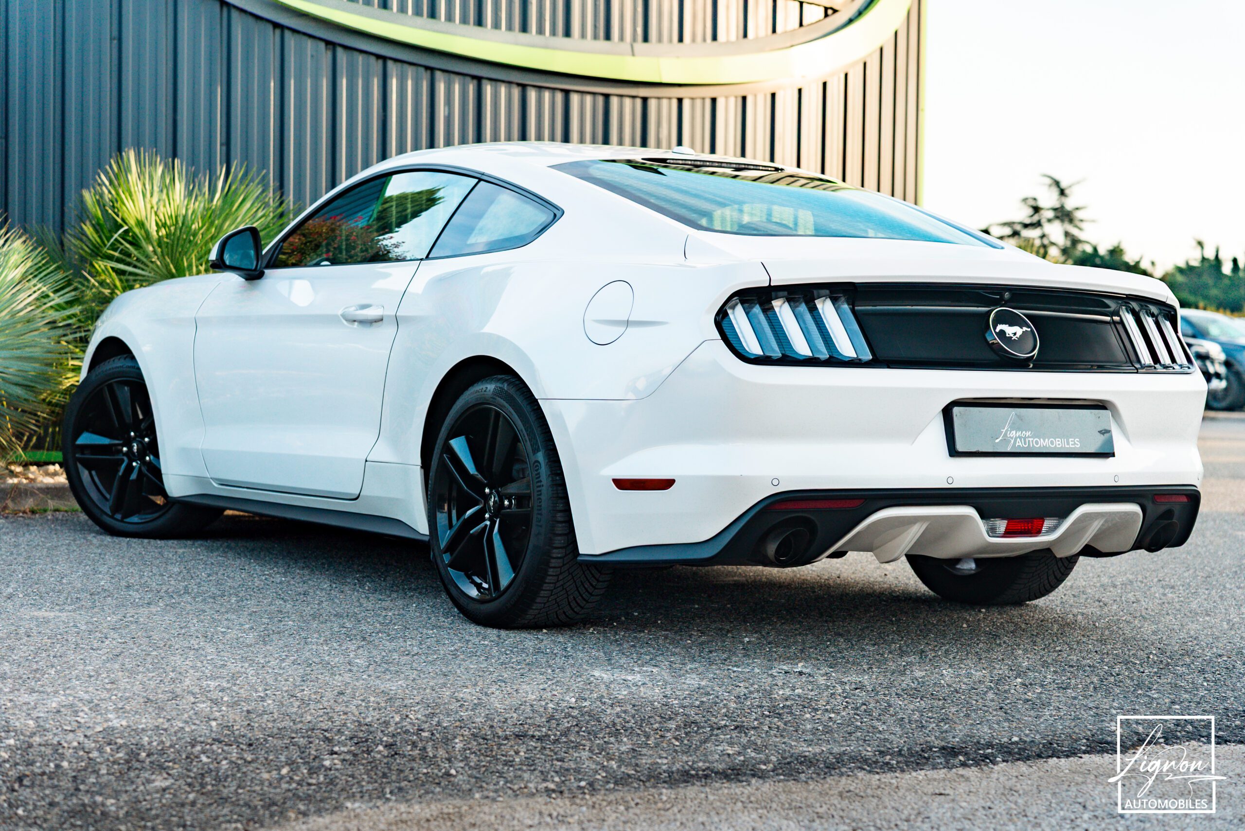 Photo Ford Mustang Fastback Ecoboost 2.3 317 ch BVM6