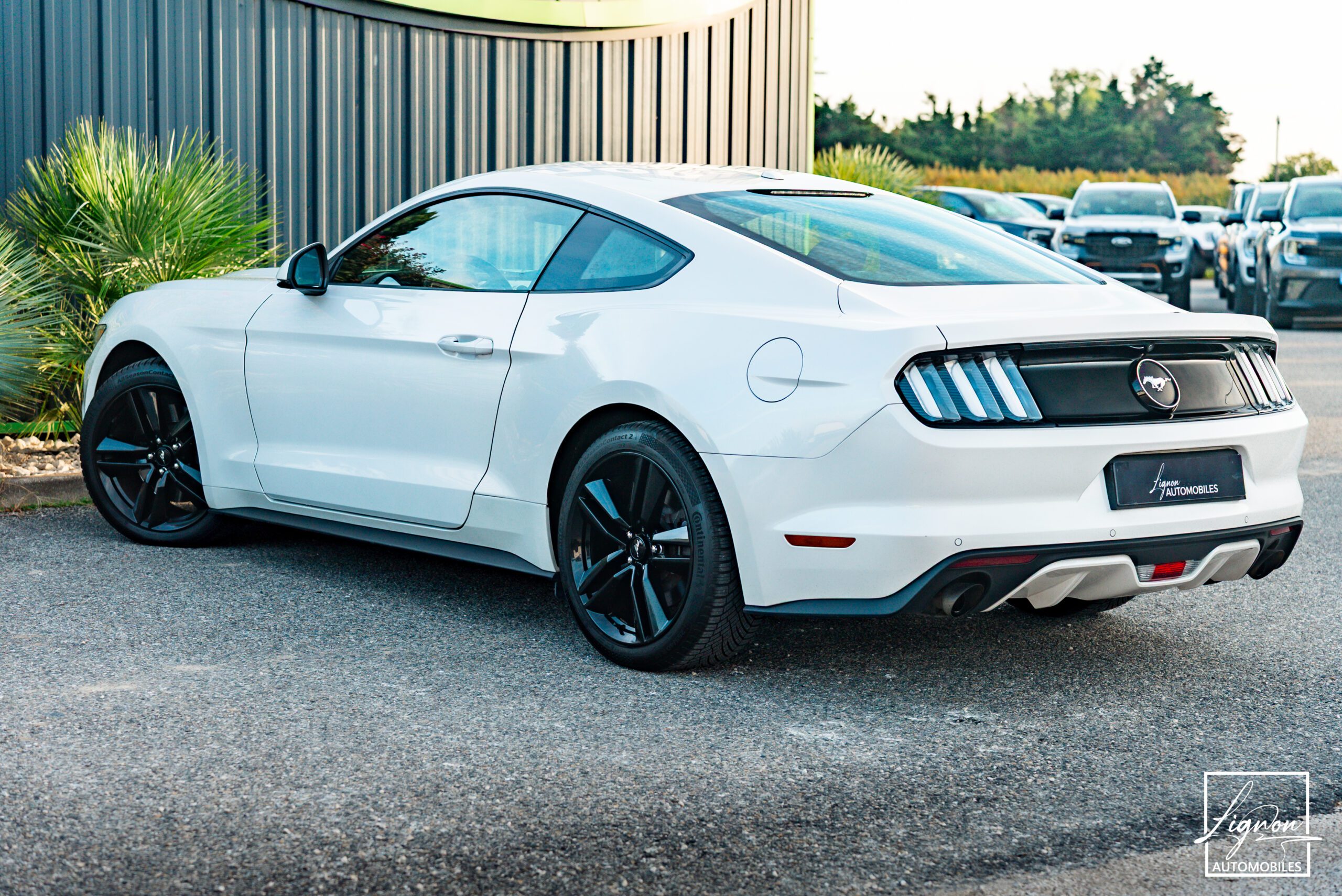 Photo Ford Mustang Fastback Ecoboost 2.3 317 ch BVM6
