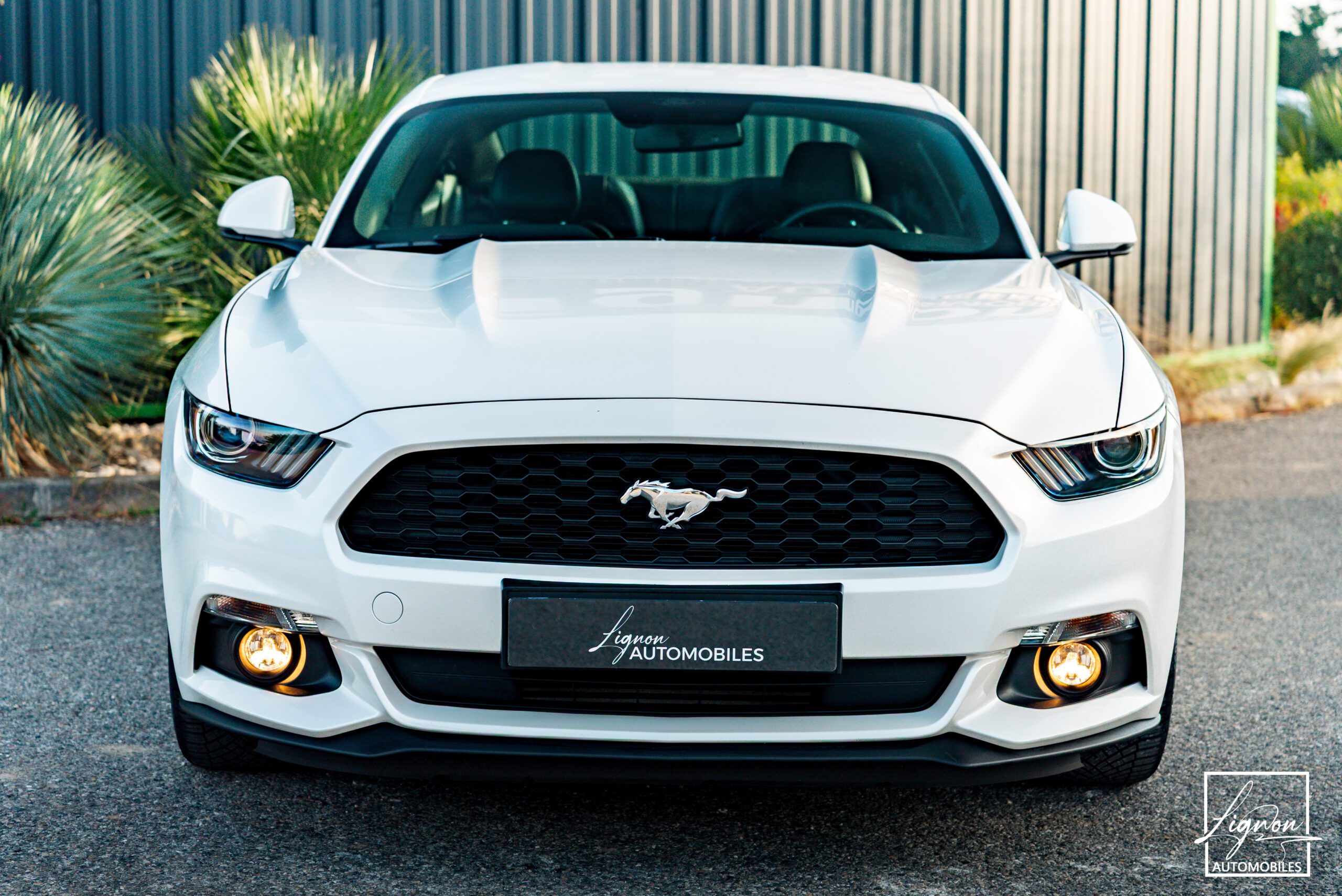 Photo Ford Mustang Fastback Ecoboost 2.3 317 ch BVM6