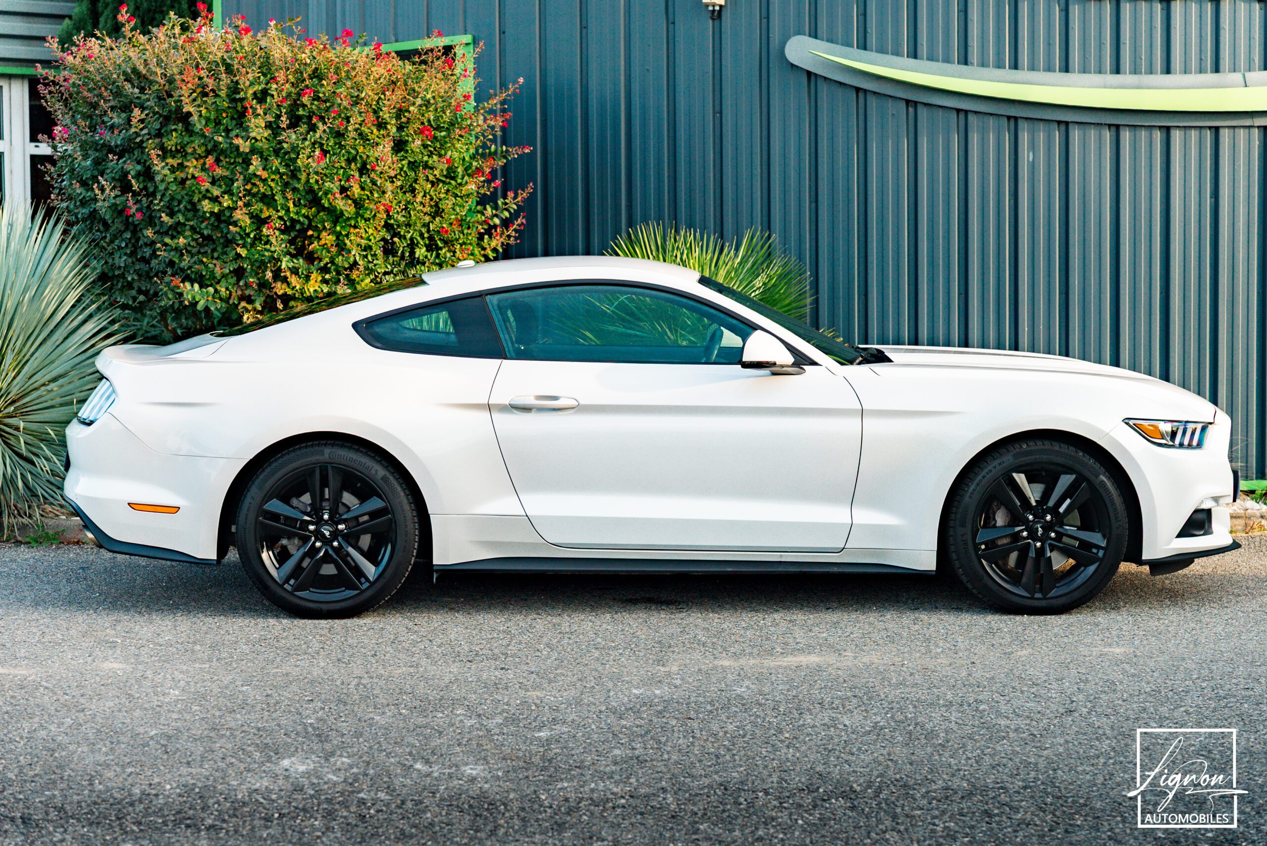 Photo Ford Mustang Fastback Ecoboost 2.3 317 ch BVM6