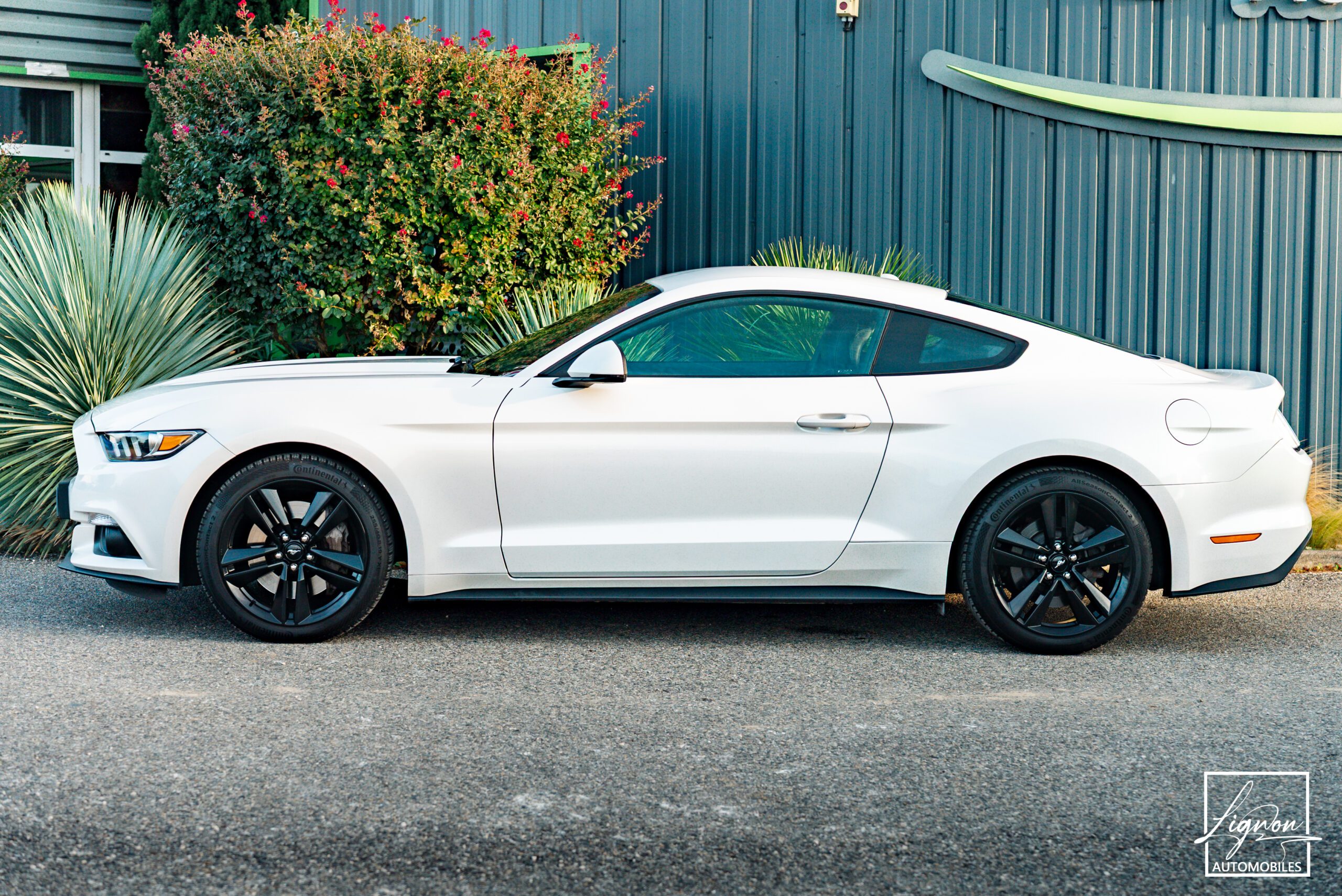 Photo Ford Mustang Fastback Ecoboost 2.3 317 ch BVM6