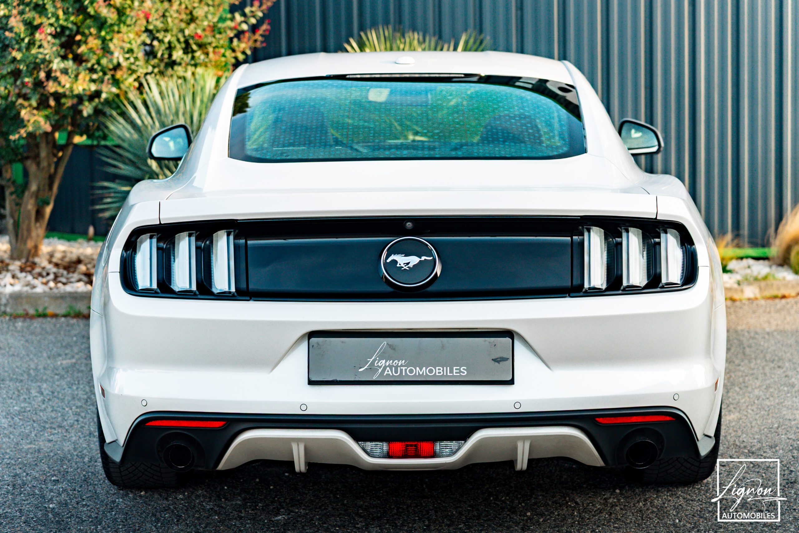 Photo Ford Mustang Fastback Ecoboost 2.3 317 ch BVM6