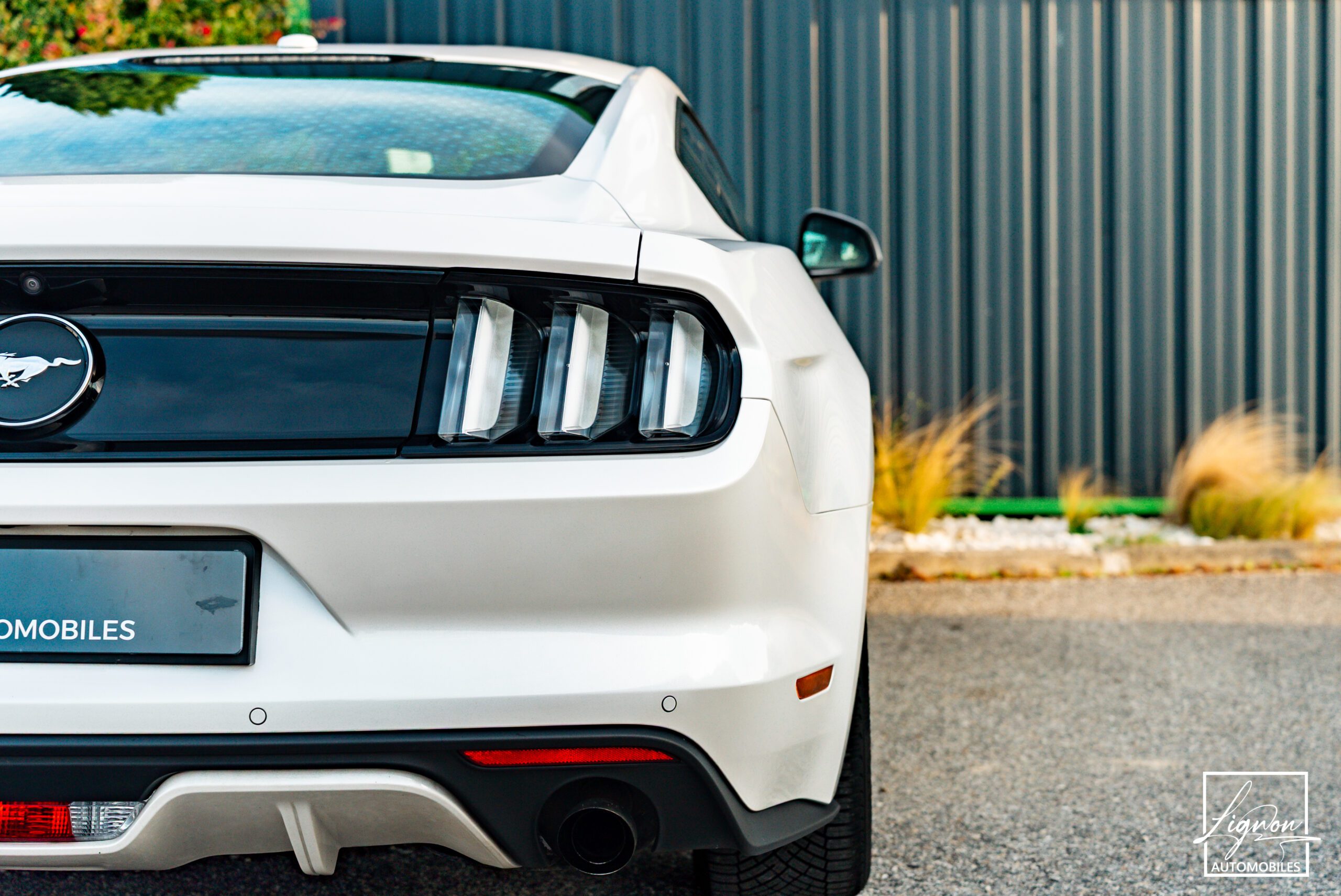 Photo Ford Mustang Fastback Ecoboost 2.3 317 ch BVM6