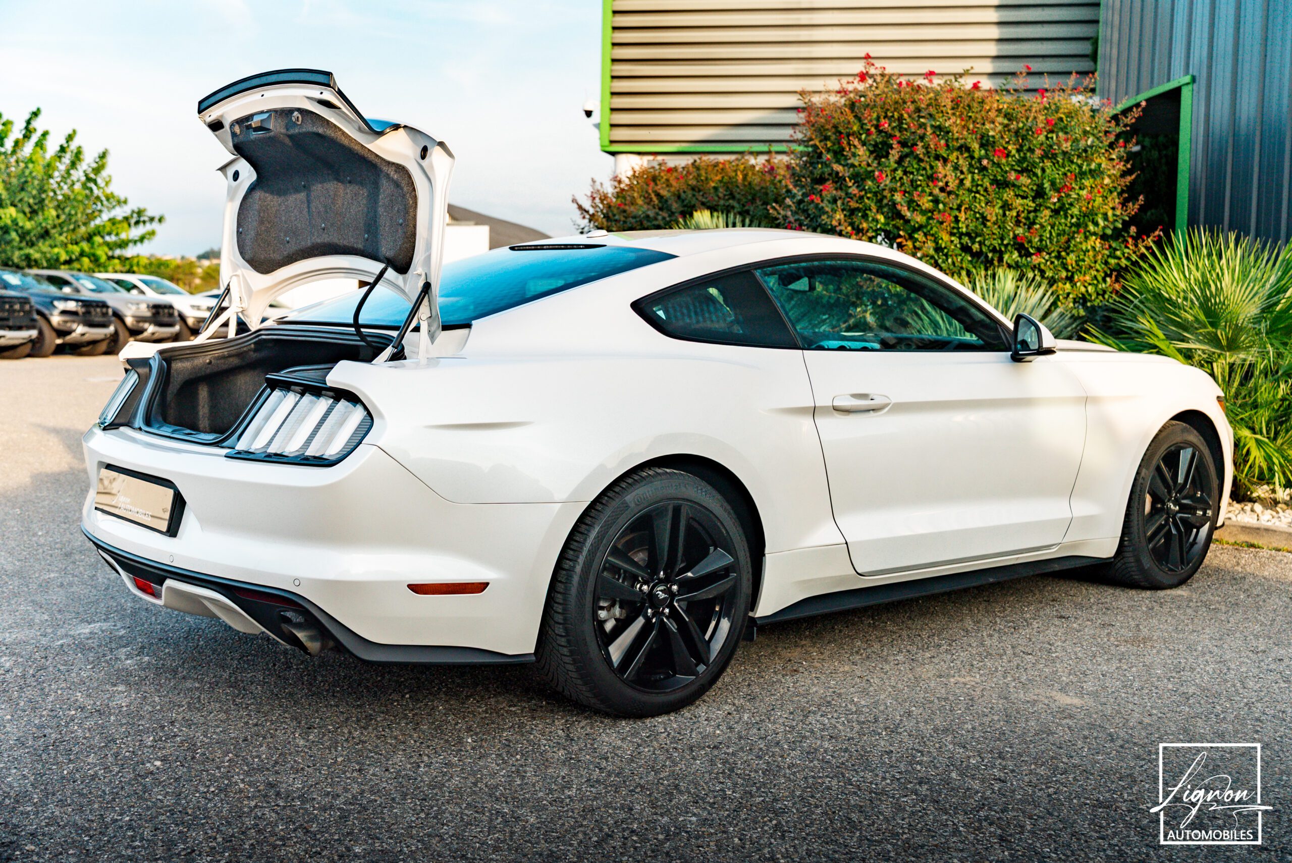 Photo Ford Mustang Fastback Ecoboost 2.3 317 ch BVM6