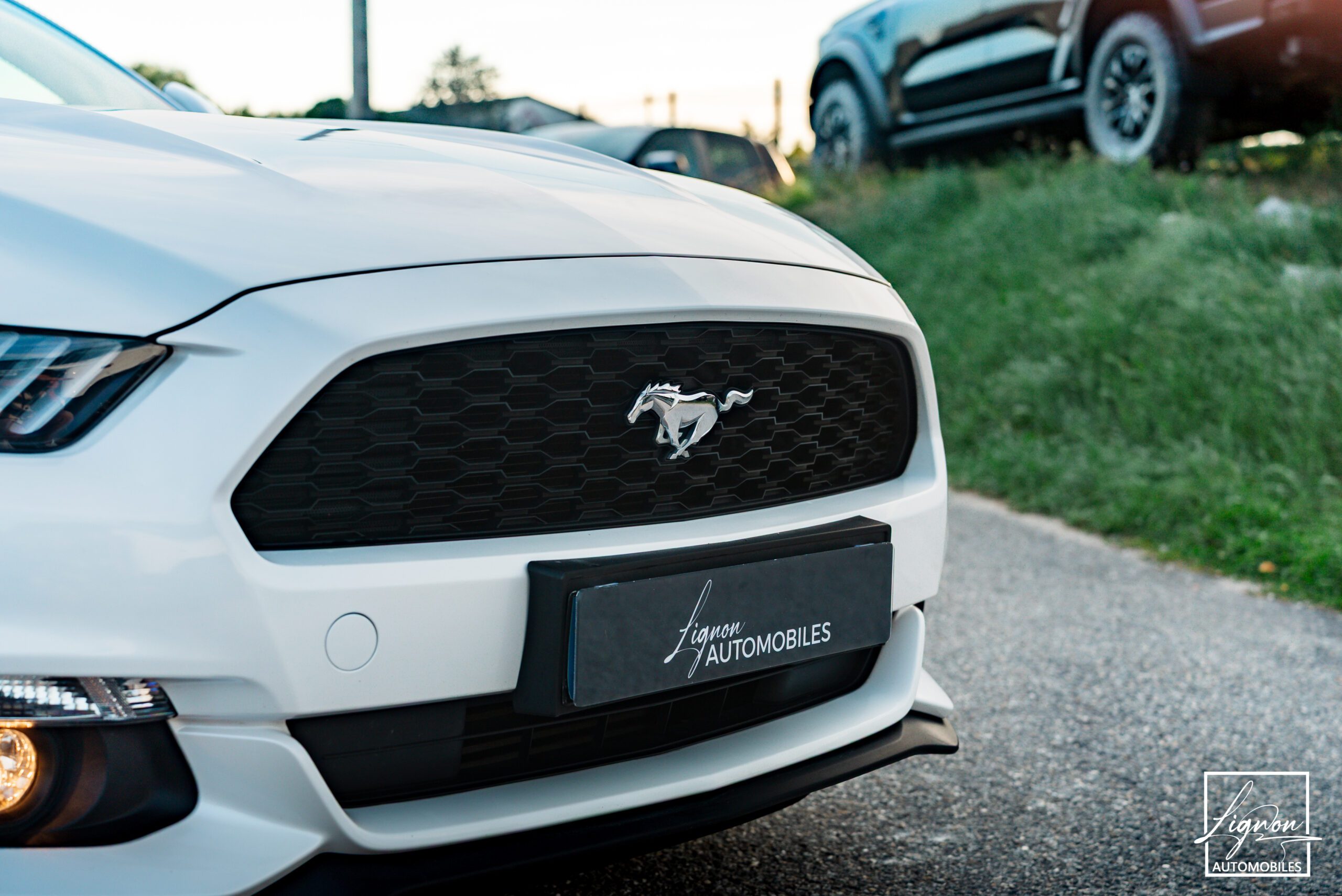 Photo Ford Mustang Fastback Ecoboost 2.3 317 ch BVM6
