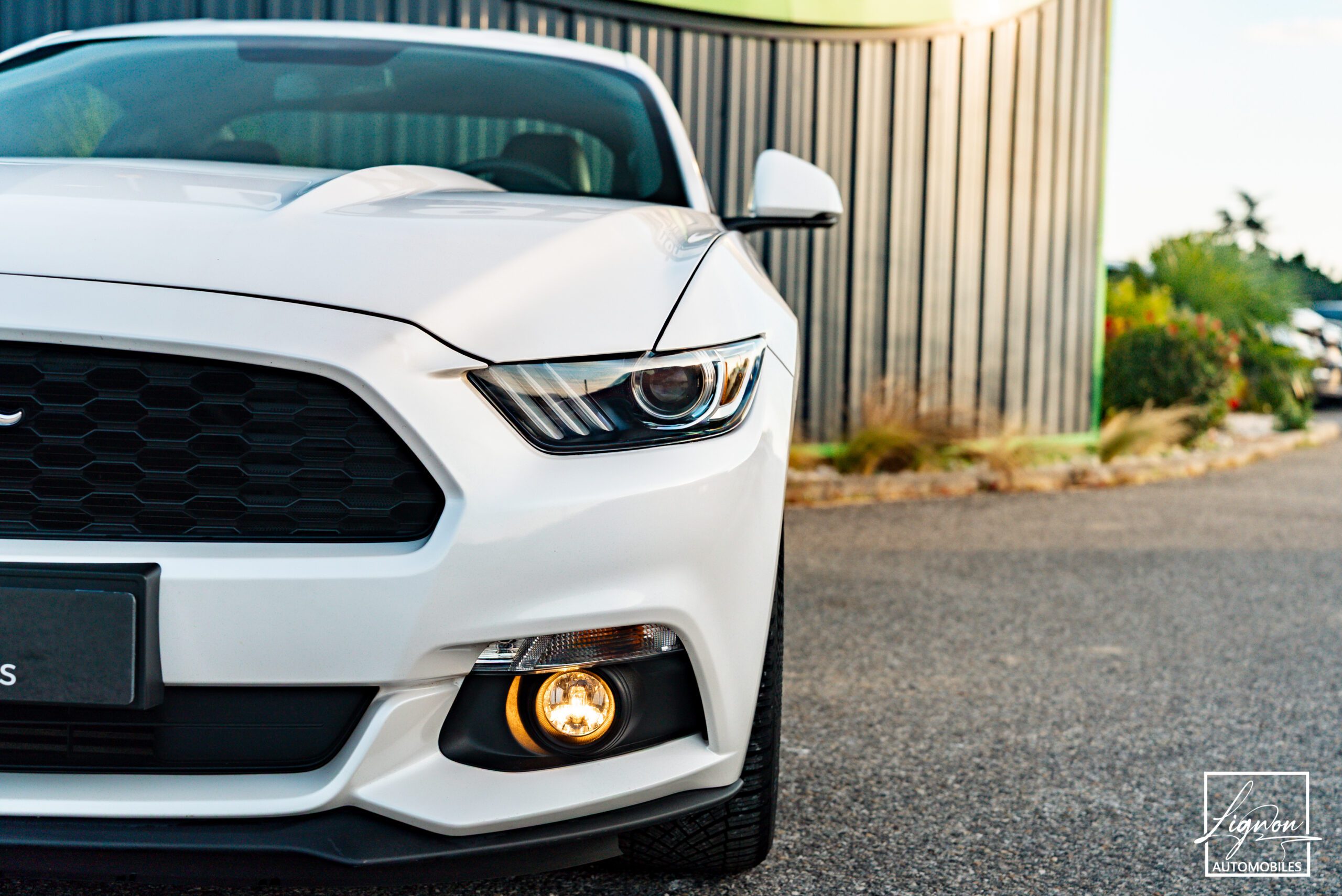 Photo Ford Mustang Fastback Ecoboost 2.3 317 ch BVM6