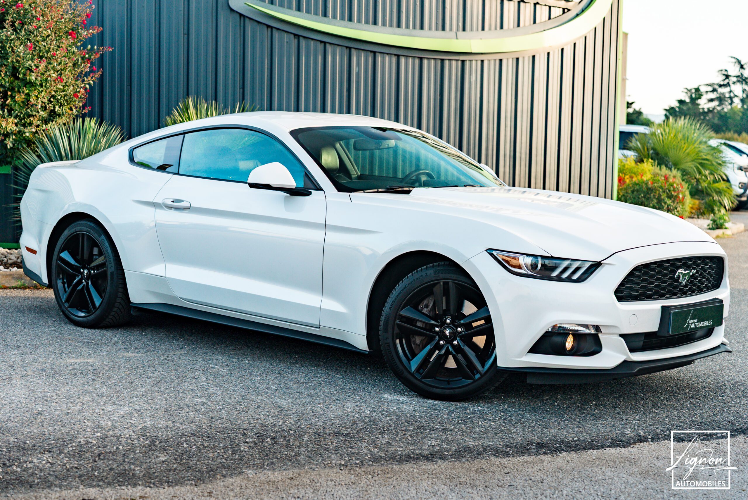 Ford Mustang Fastback Ecoboost 2.3 317 ch BVM6