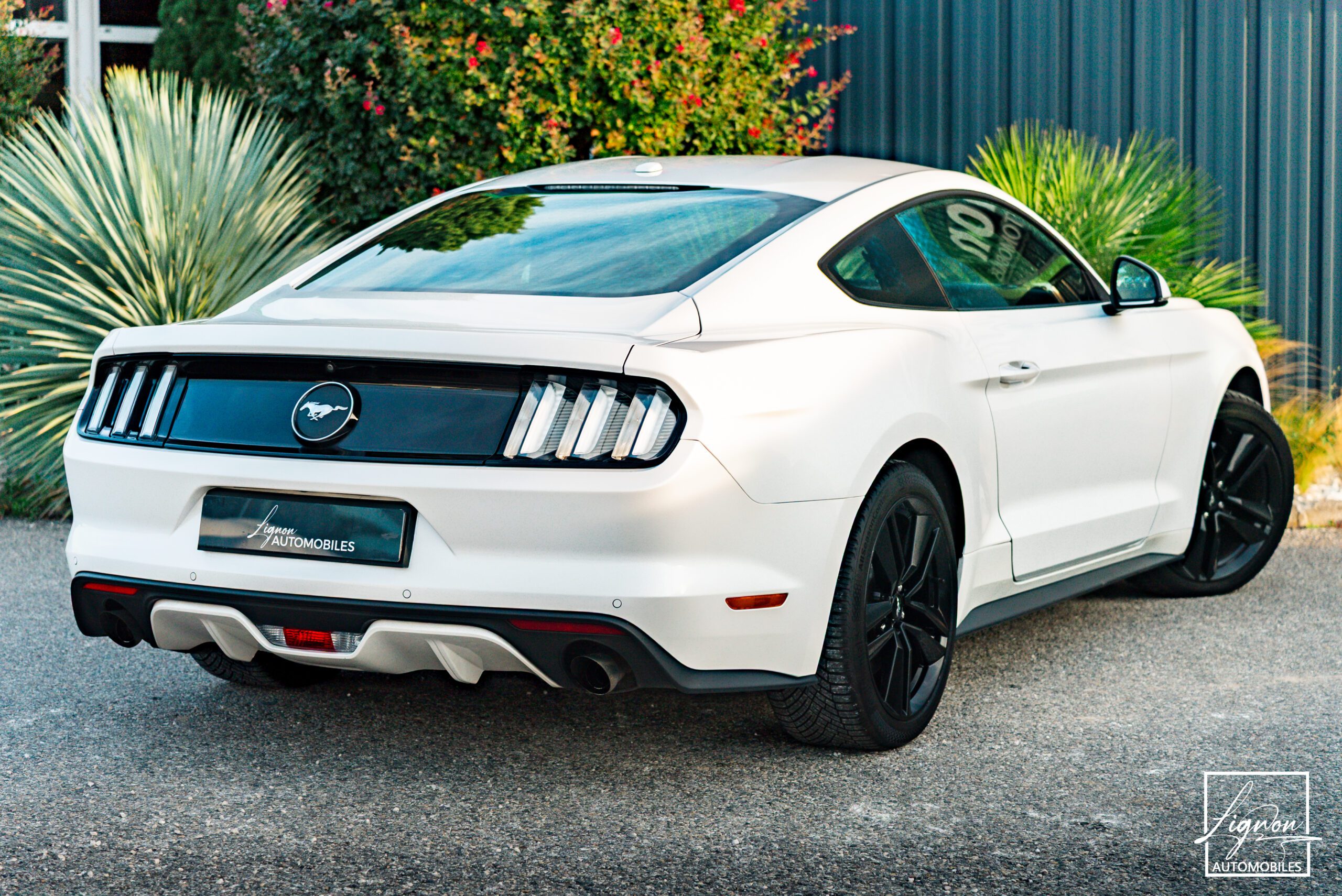Photo Ford Mustang Fastback Ecoboost 2.3 317 ch BVM6