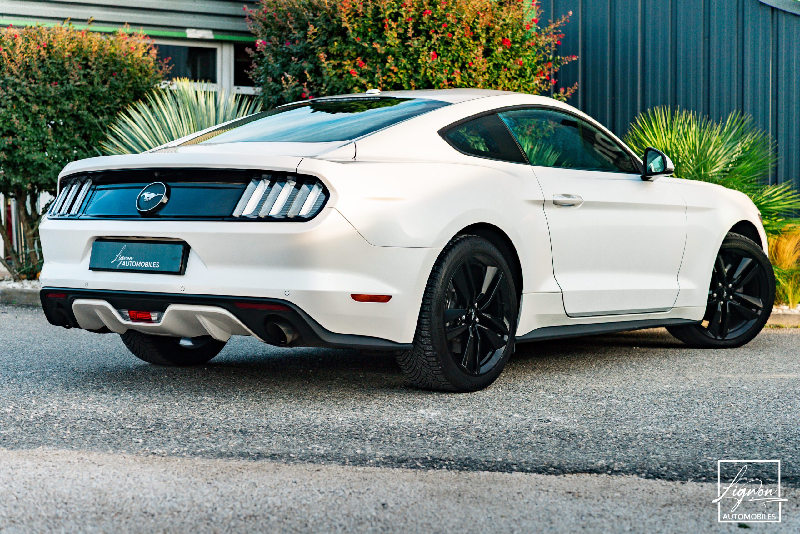 Photo Ford Mustang Fastback Ecoboost 2.3 317 ch BVM6