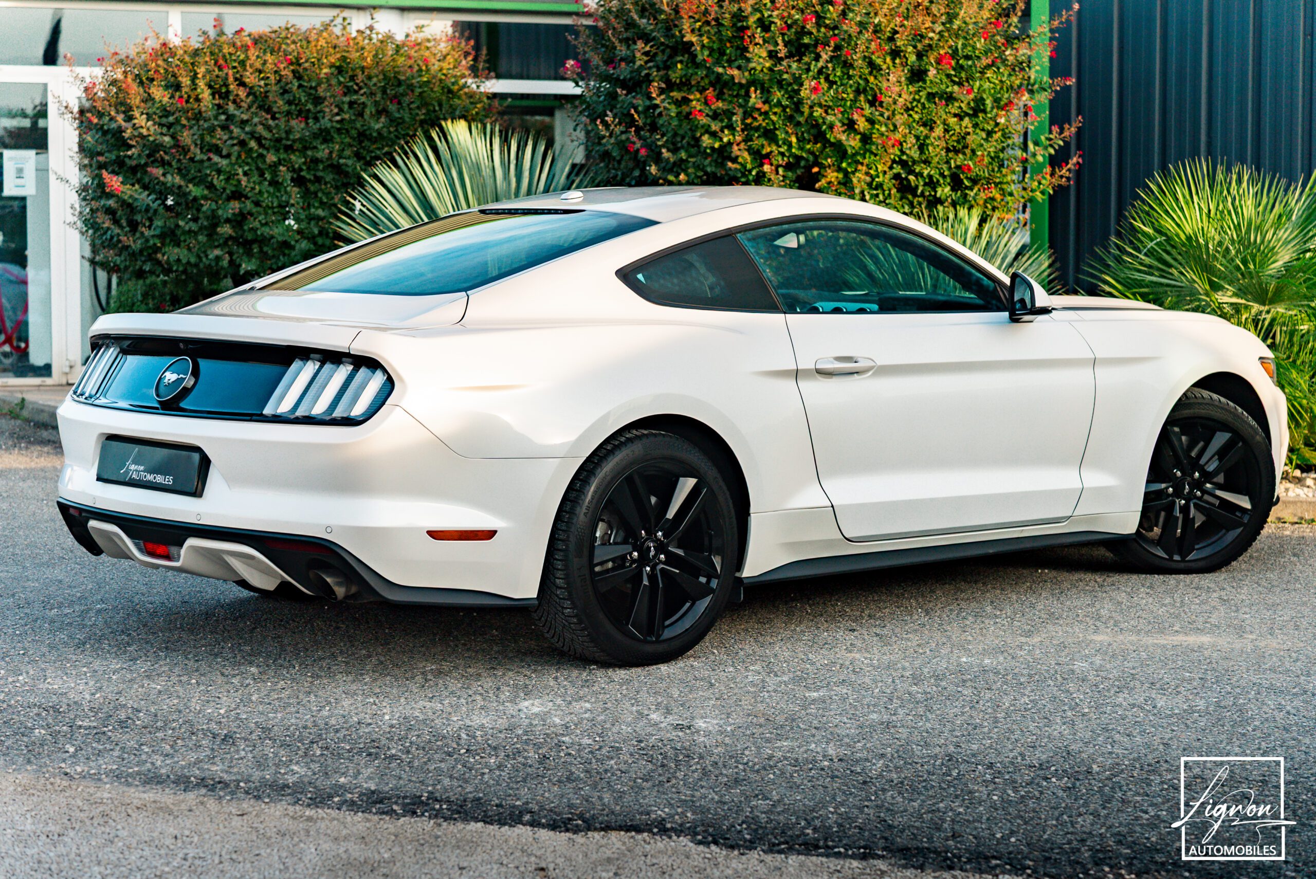 Photo Ford Mustang Fastback Ecoboost 2.3 317 ch BVM6
