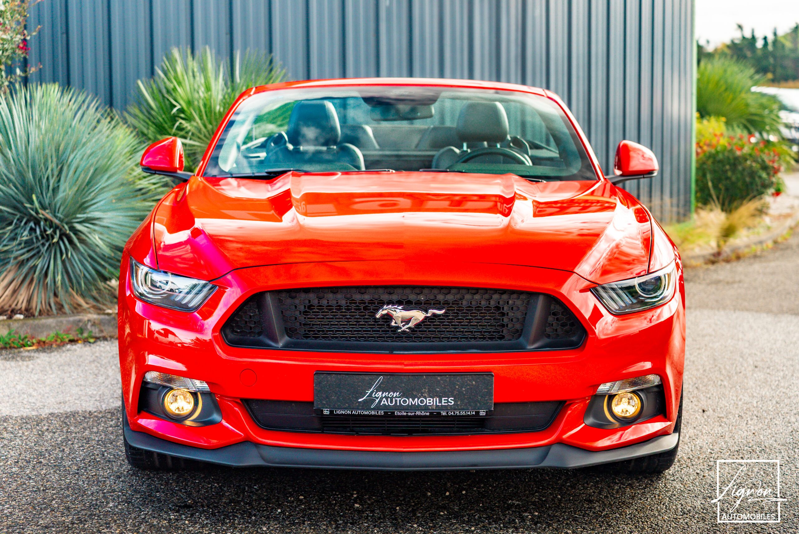 Photo Ford Mustang GT Fastback V8 5.0 421 ch BVA
