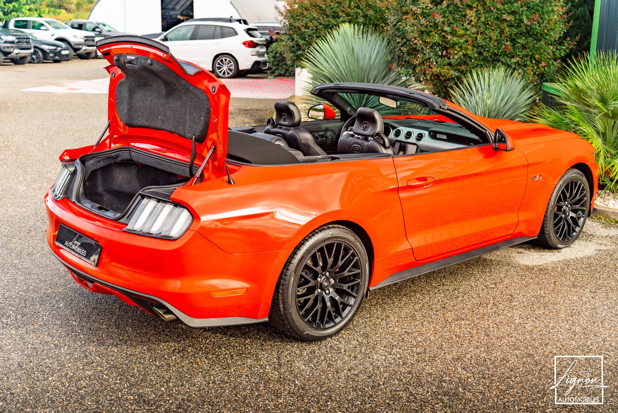 Photo Ford Mustang GT Fastback V8 5.0 421 ch BVA
