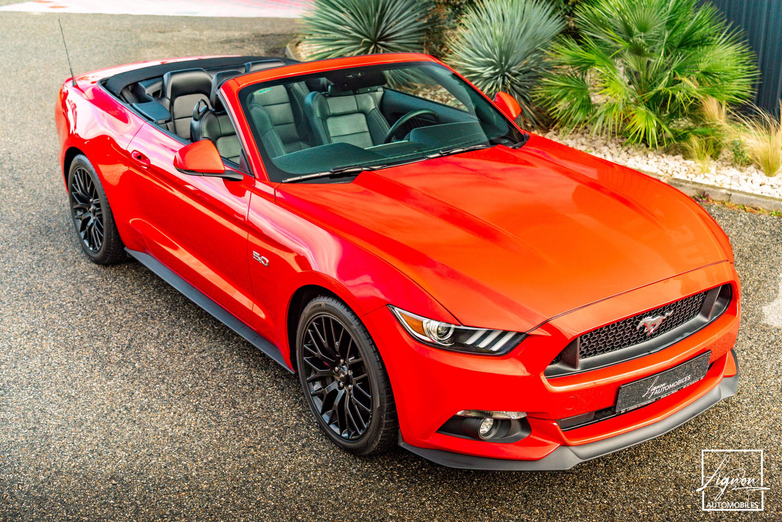 Photo Ford Mustang GT Fastback V8 5.0 421 ch BVA