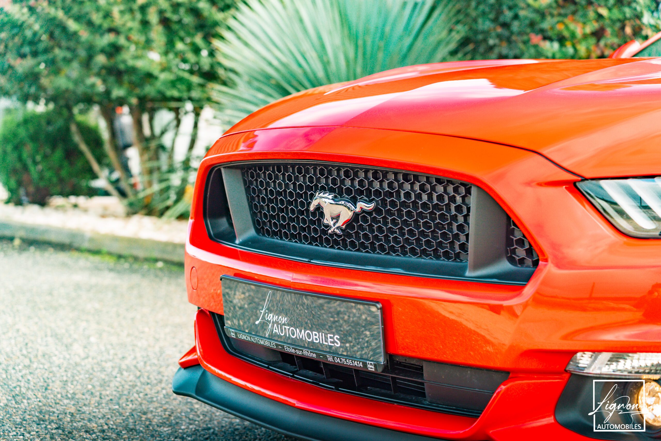 Photo Ford Mustang GT Fastback V8 5.0 421 ch BVA