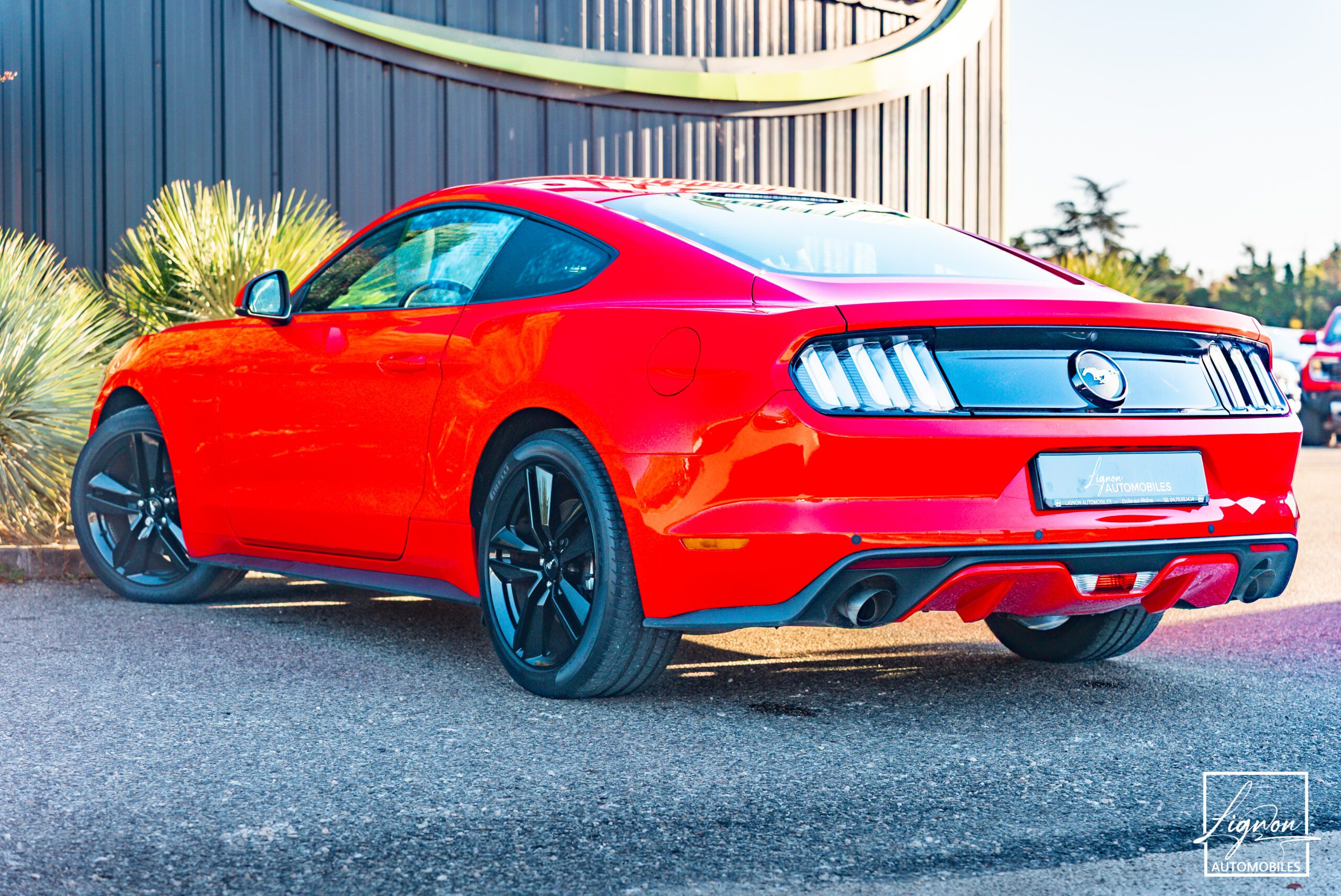 Photo Ford Mustang Fastback Ecoboost 2.3 317 ch BVM6