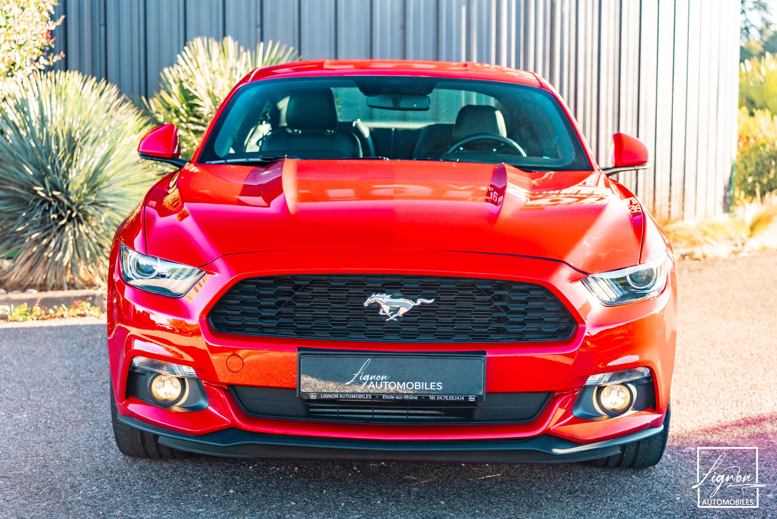 Photo Ford Mustang Fastback Ecoboost 2.3 317 ch BVM6