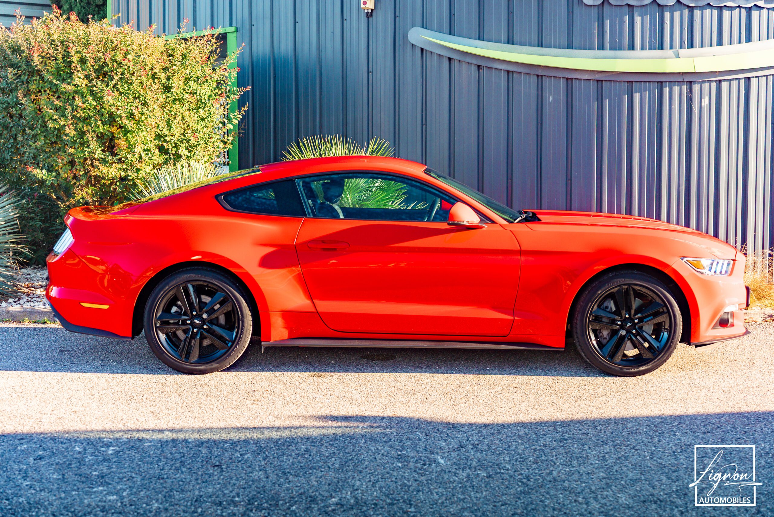 Photo Ford Mustang Fastback Ecoboost 2.3 317 ch BVM6