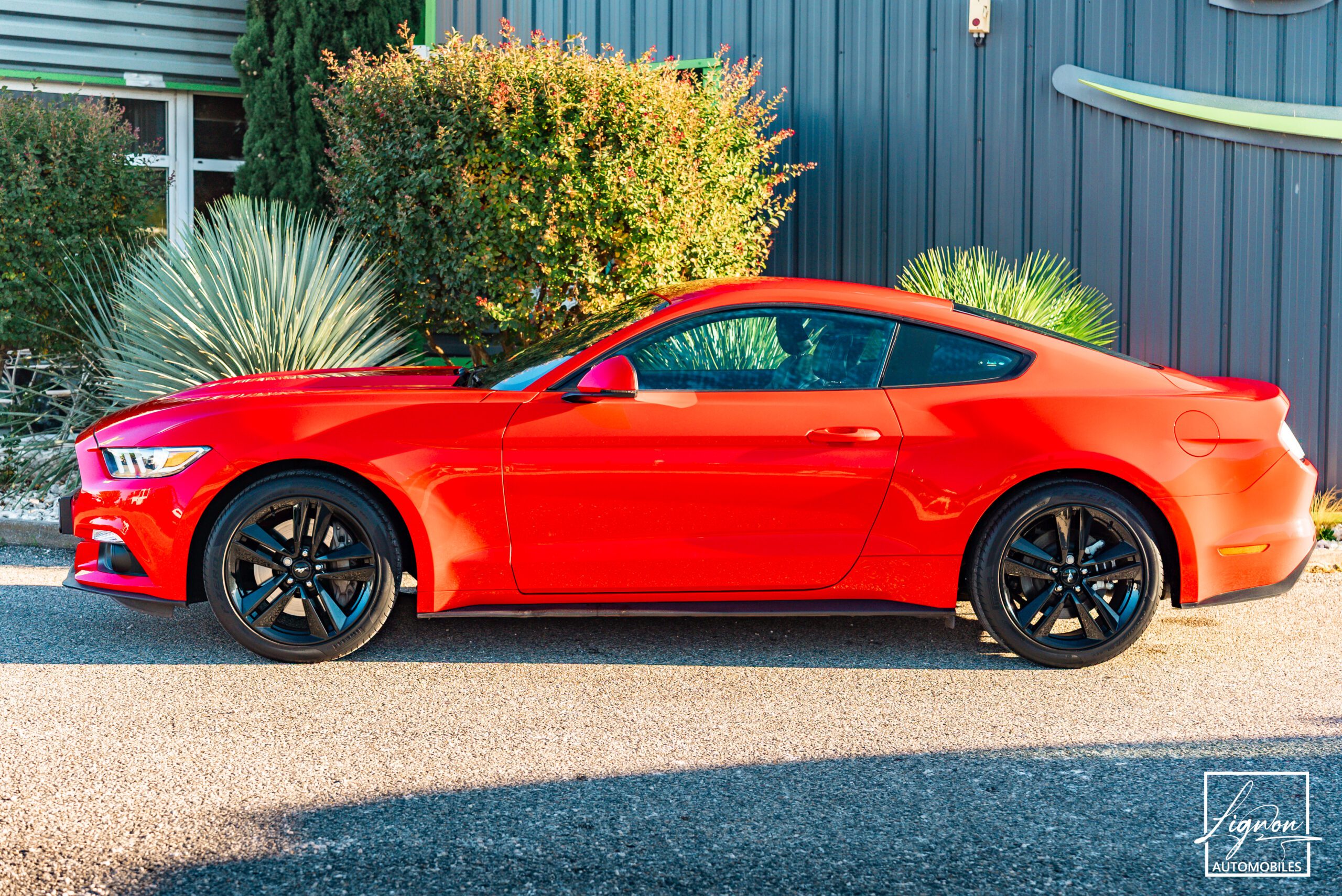 Photo Ford Mustang Fastback Ecoboost 2.3 317 ch BVM6