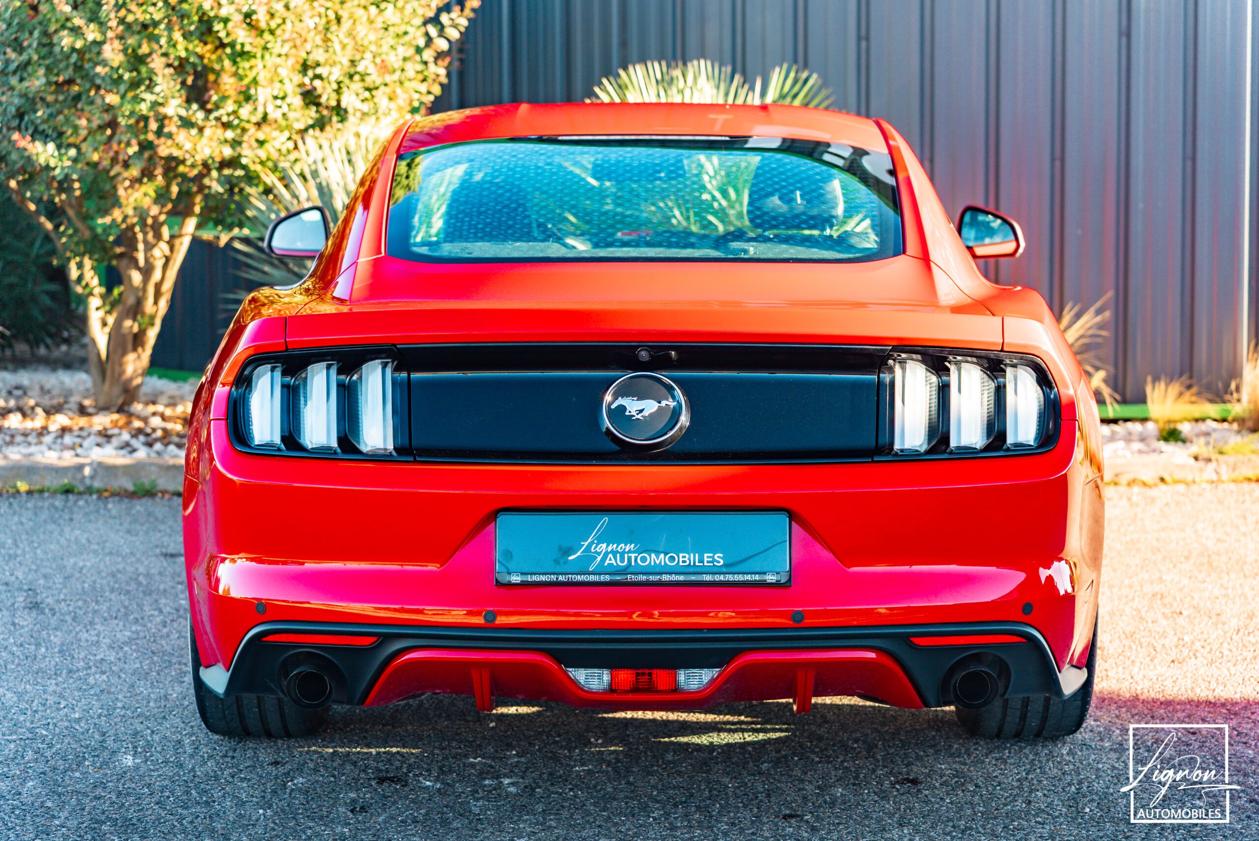 Photo Ford Mustang Fastback Ecoboost 2.3 317 ch BVM6