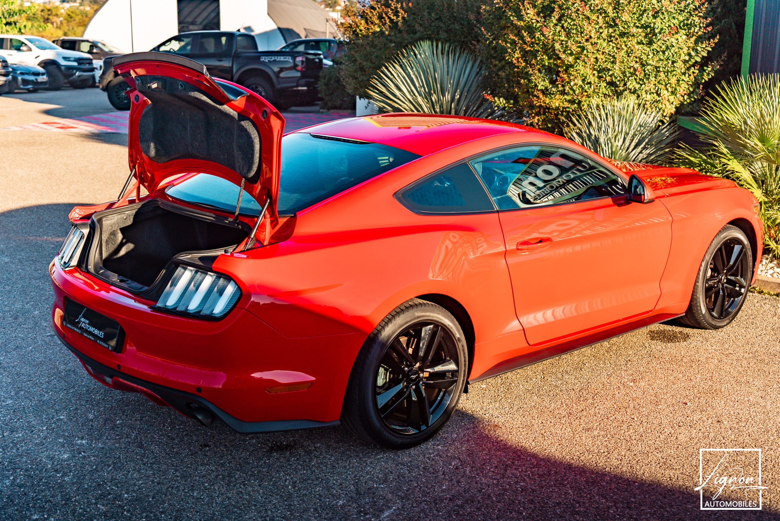 Photo Ford Mustang Fastback Ecoboost 2.3 317 ch BVM6