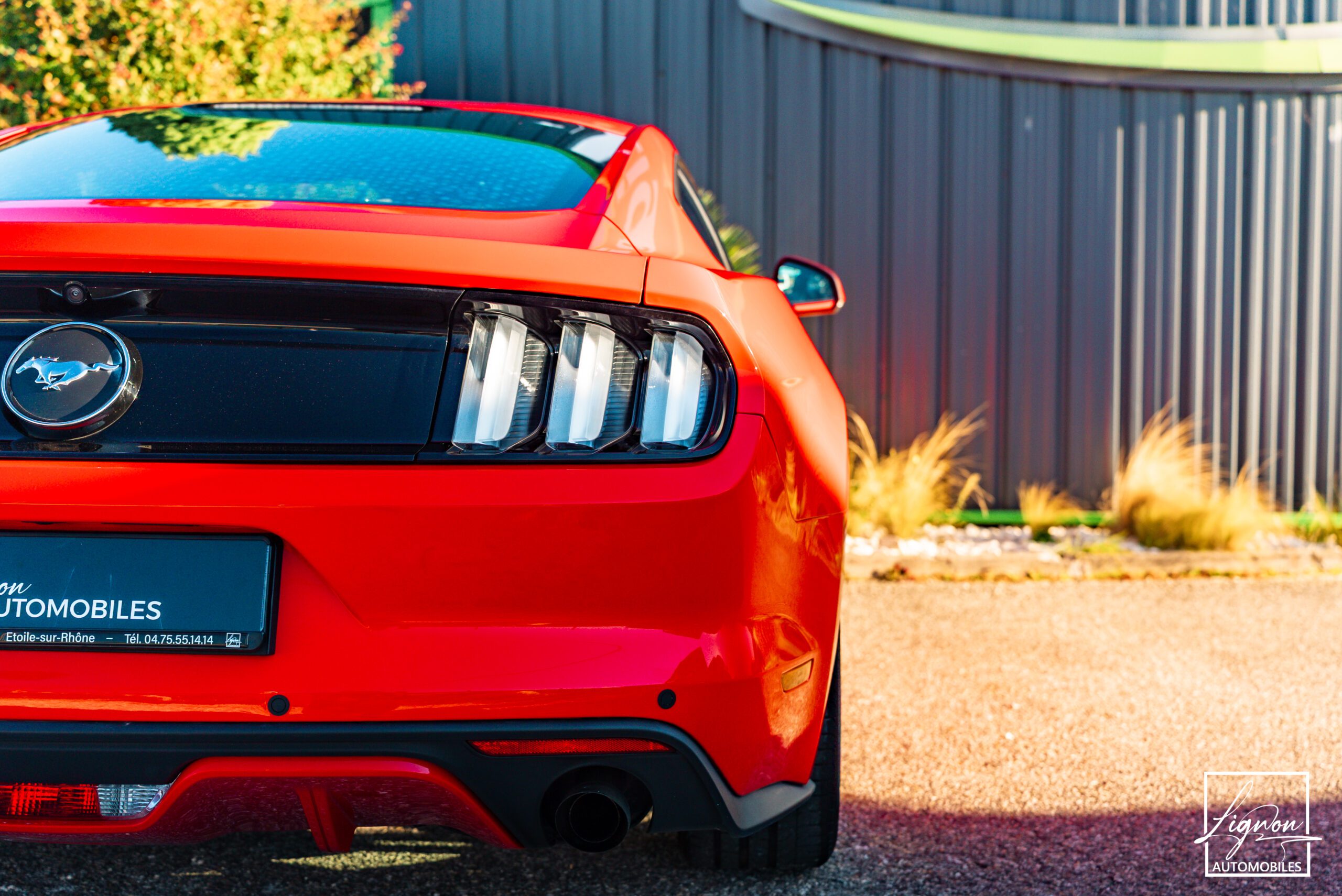 Photo Ford Mustang Fastback Ecoboost 2.3 317 ch BVM6