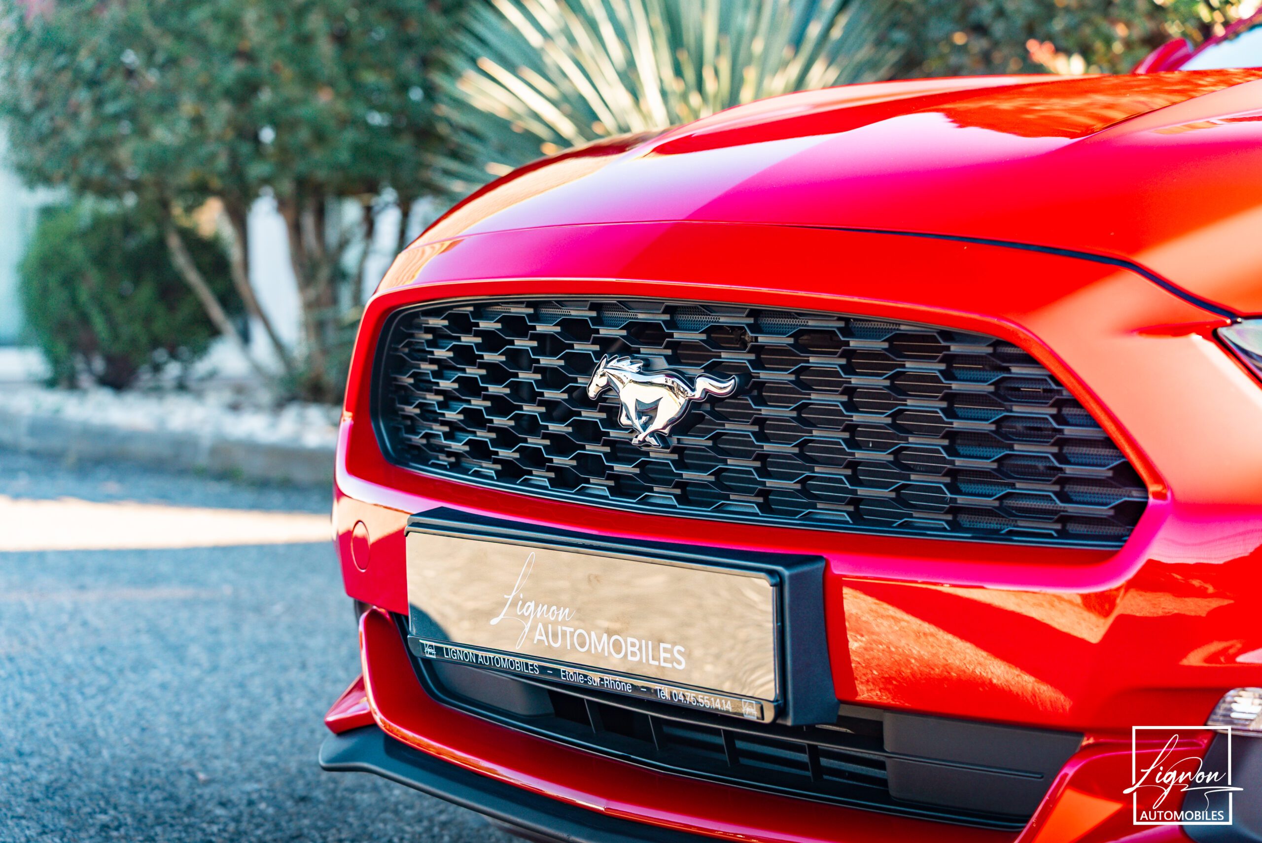 Photo Ford Mustang Fastback Ecoboost 2.3 317 ch BVM6