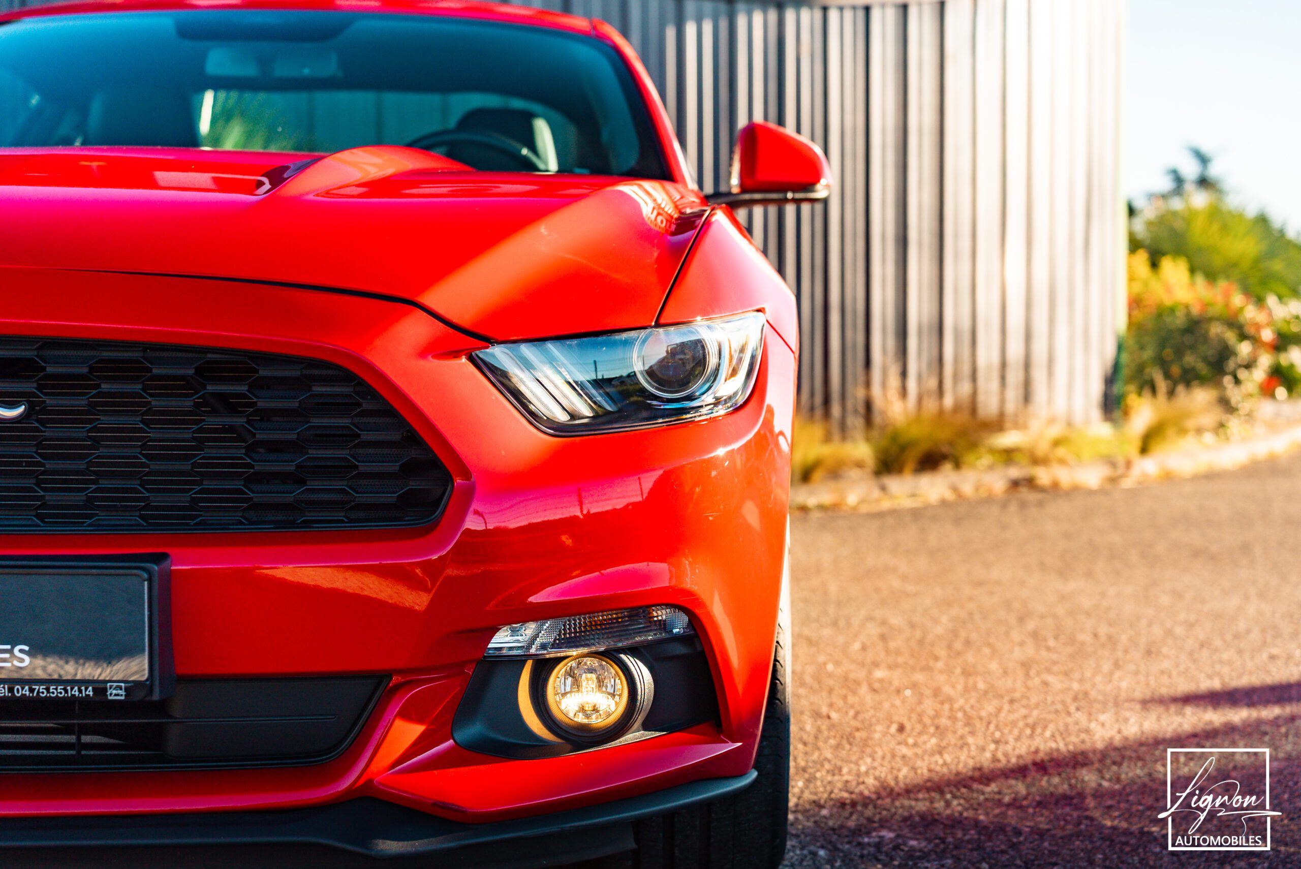 Photo Ford Mustang Fastback Ecoboost 2.3 317 ch BVM6