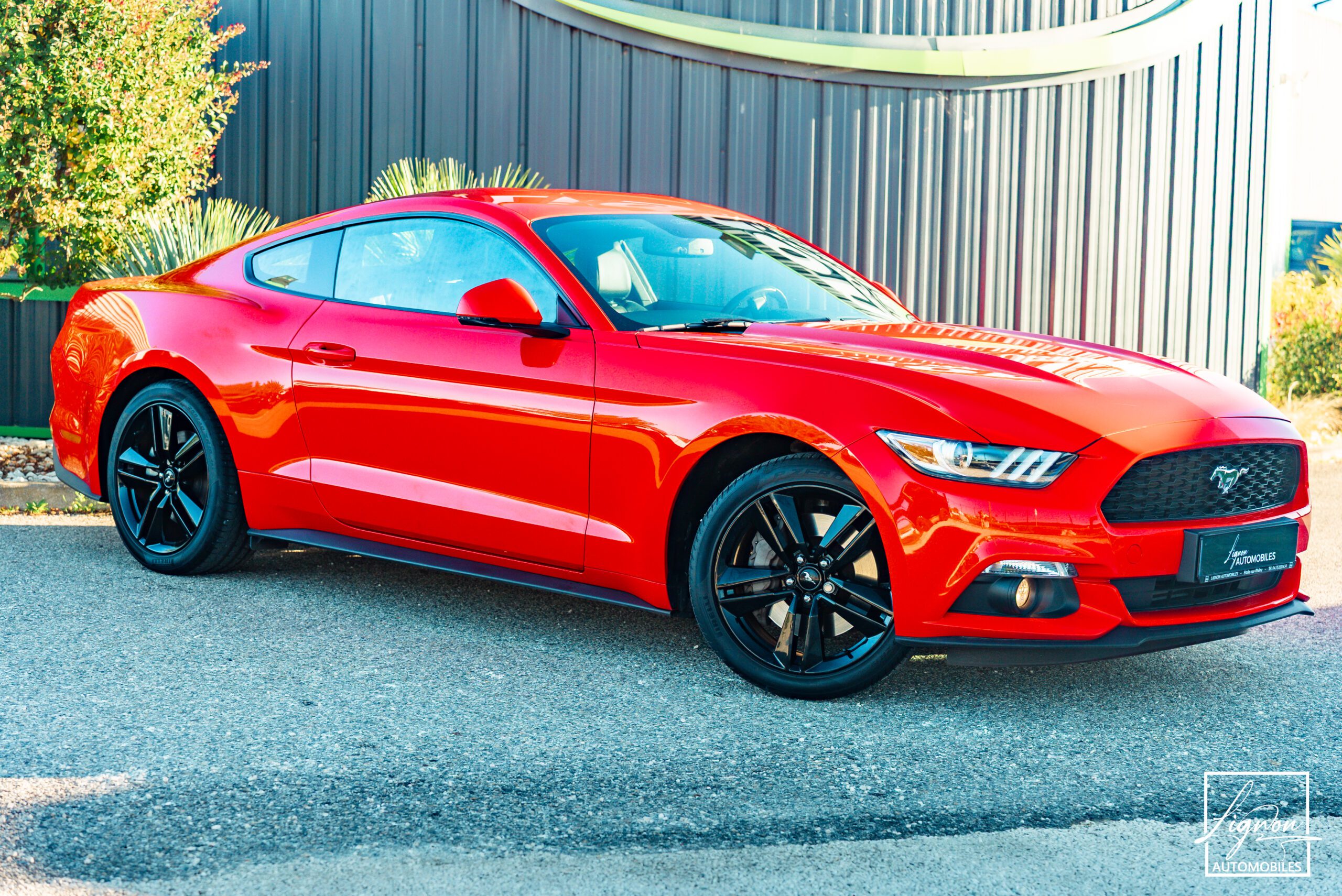 Ford Mustang Fastback Ecoboost 2.3 317 ch BVM6