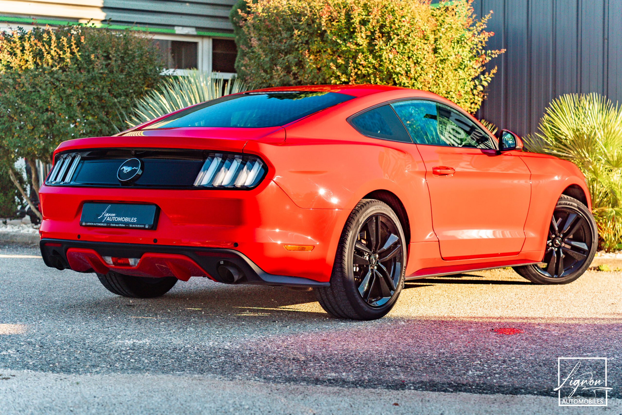 Photo Ford Mustang Fastback Ecoboost 2.3 317 ch BVM6