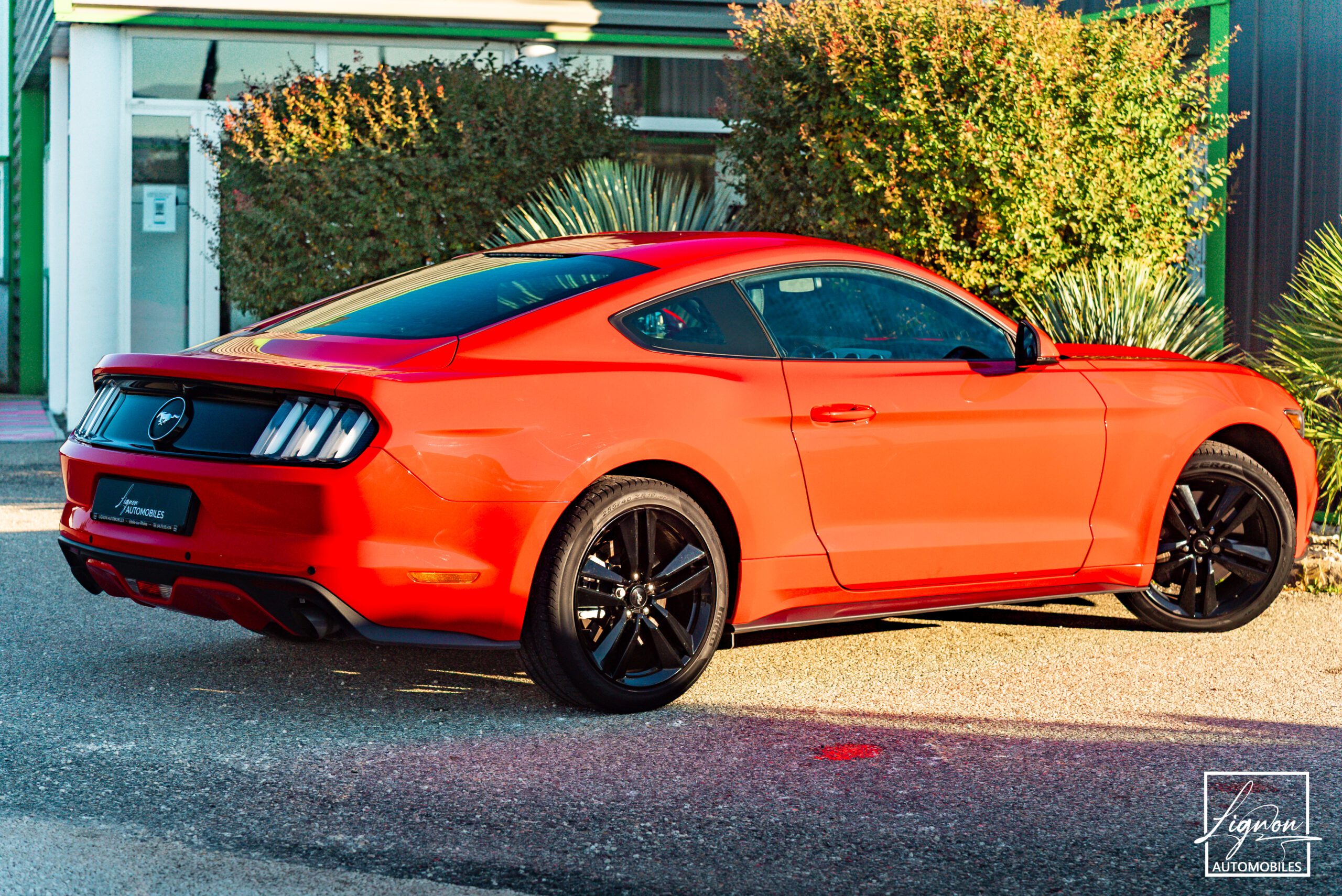 Photo Ford Mustang Fastback Ecoboost 2.3 317 ch BVM6