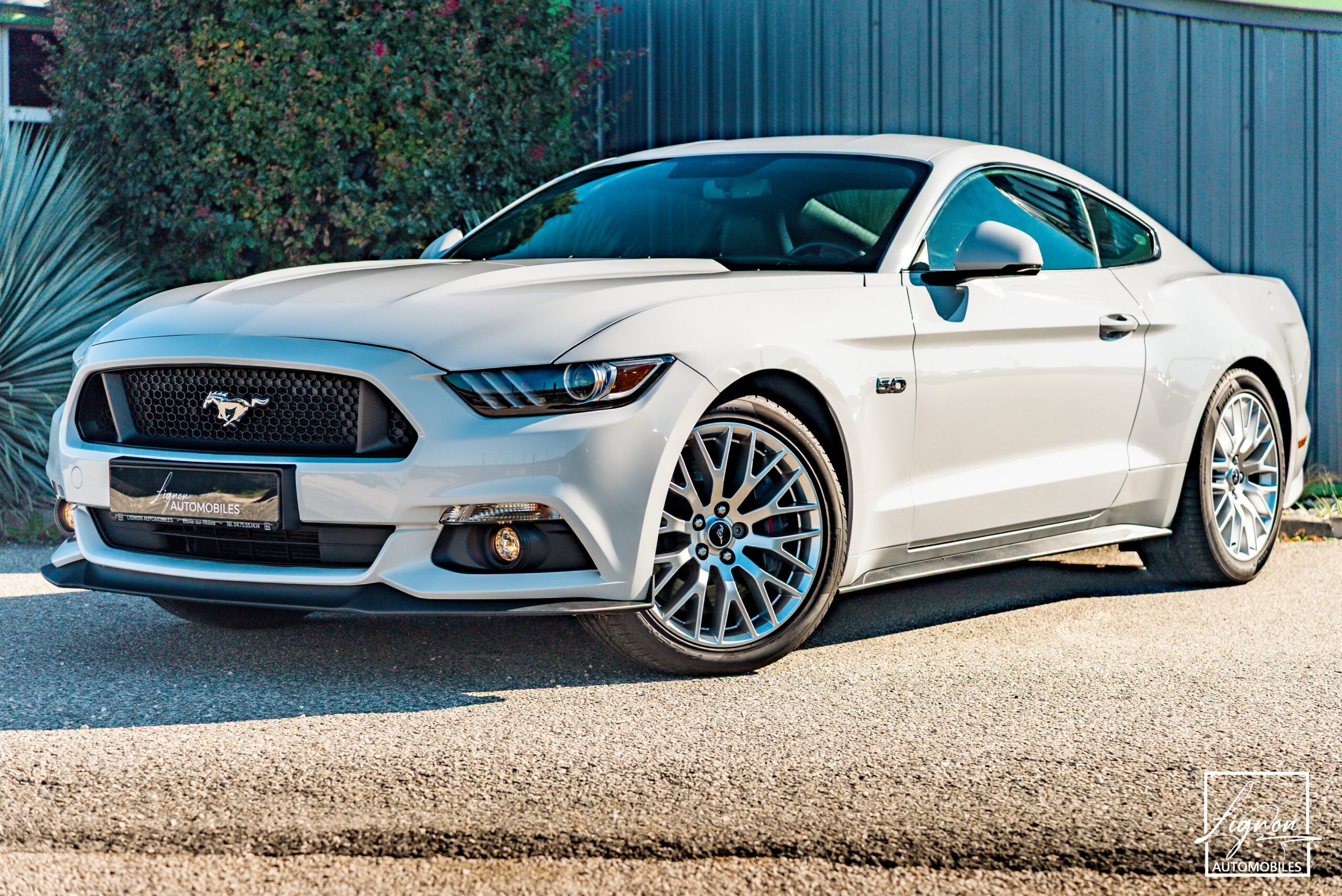 FORD MUSTANG Fastback 5.0 V8 GT 421 Ch BVA6 – Échappements Sport À Clapets – 11 000km !