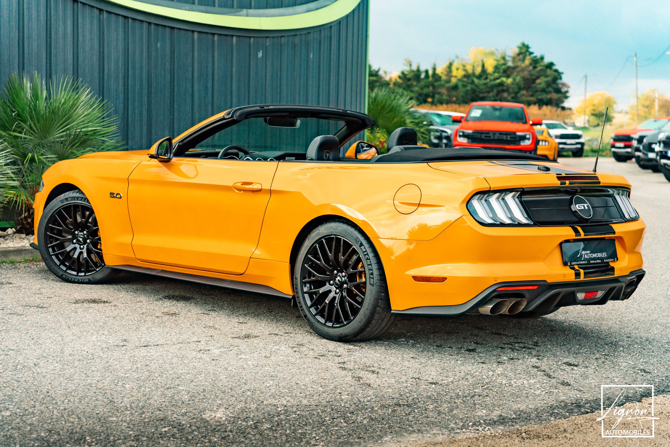 Photo Ford Mustang Cabriolet Gt 5.0l V8 450 Bva10 Premium - Magneride