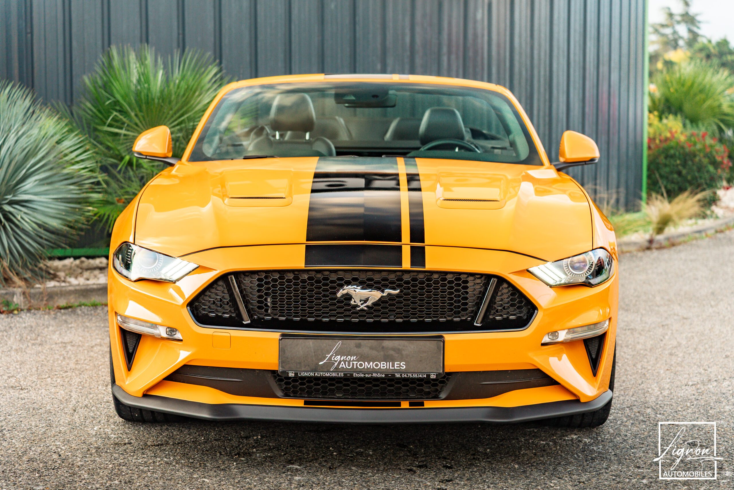 Photo Ford Mustang Cabriolet Gt 5.0l V8 450 Bva10 Premium - Magneride