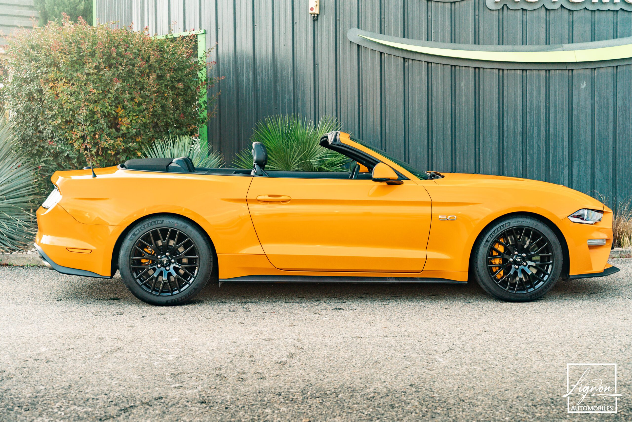Photo Ford Mustang Cabriolet Gt 5.0l V8 450 Bva10 Premium - Magneride