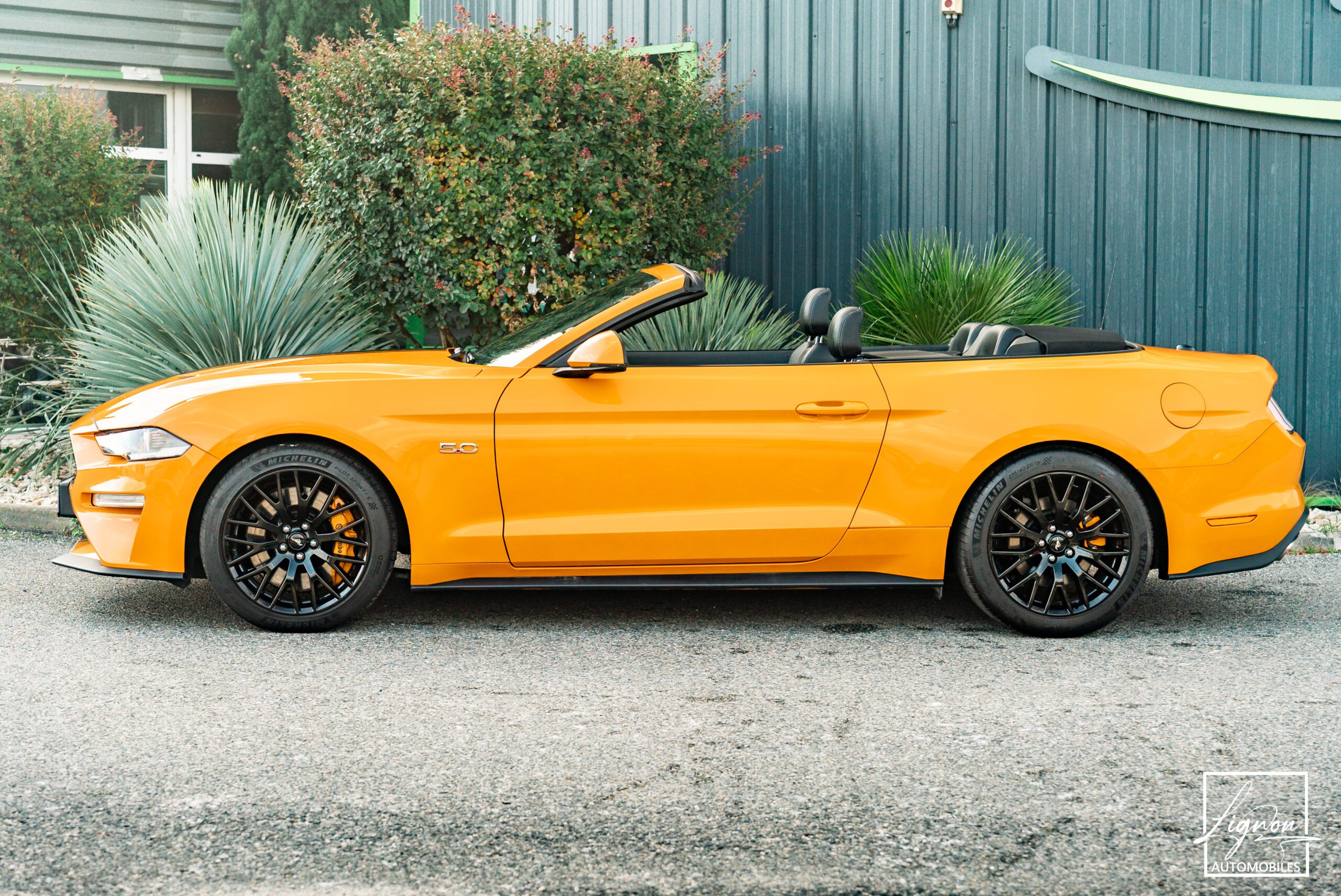 Photo Ford Mustang Cabriolet Gt 5.0l V8 450 Bva10 Premium - Magneride