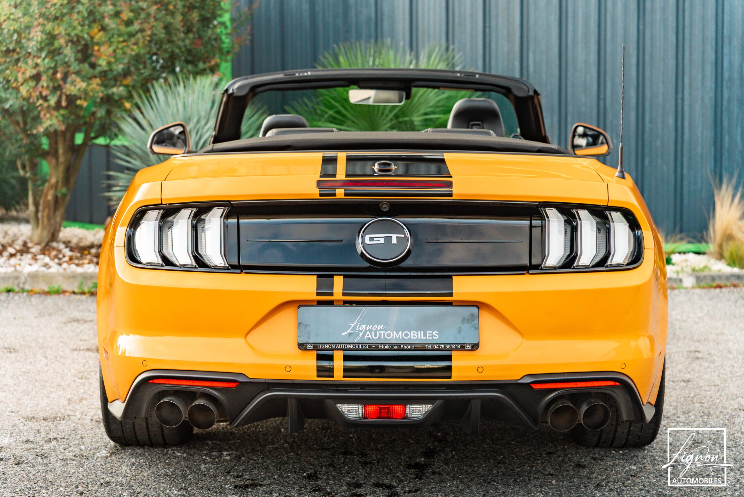 Photo Ford Mustang Cabriolet Gt 5.0l V8 450 Bva10 Premium - Magneride