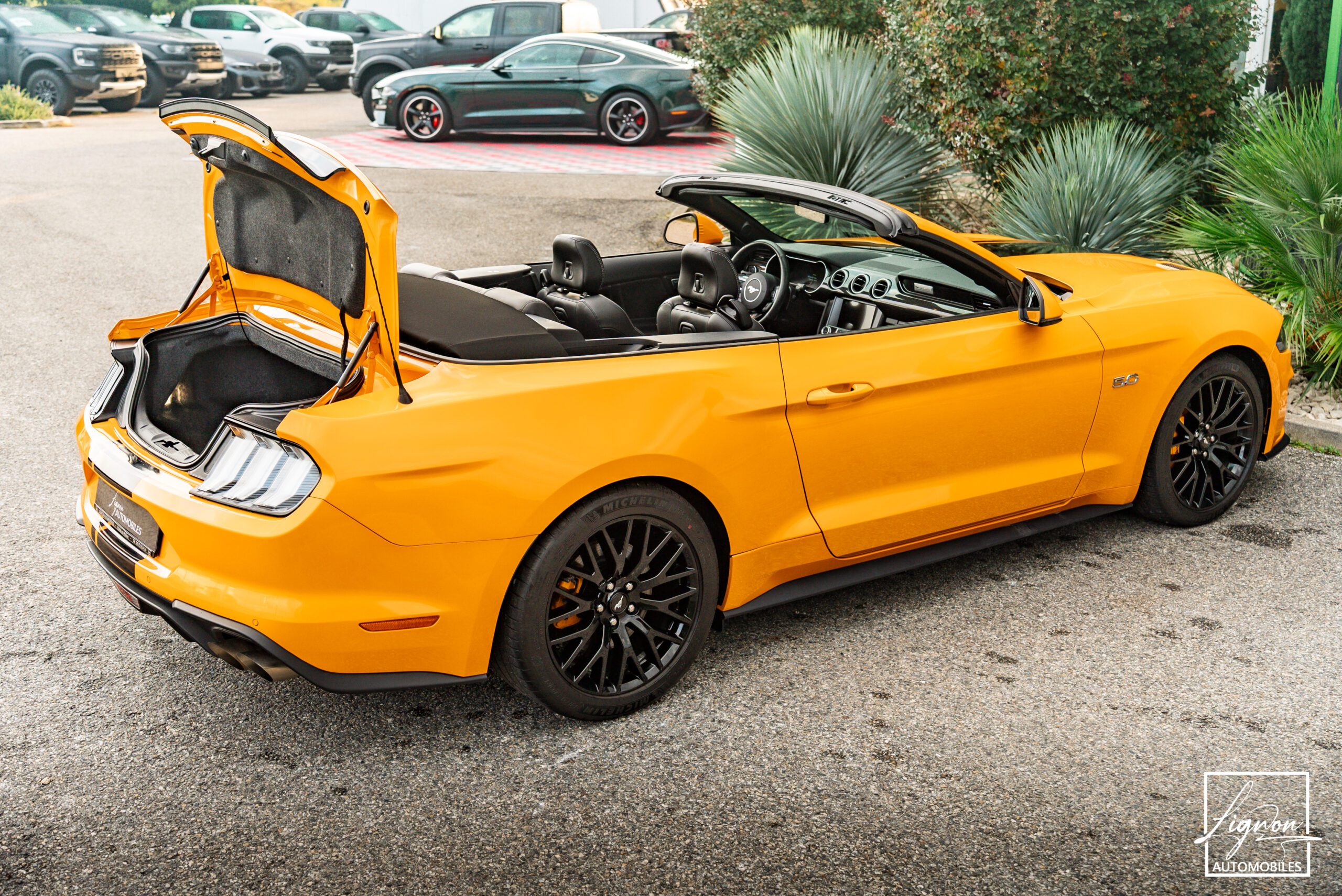 Photo Ford Mustang Cabriolet Gt 5.0l V8 450 Bva10 Premium - Magneride