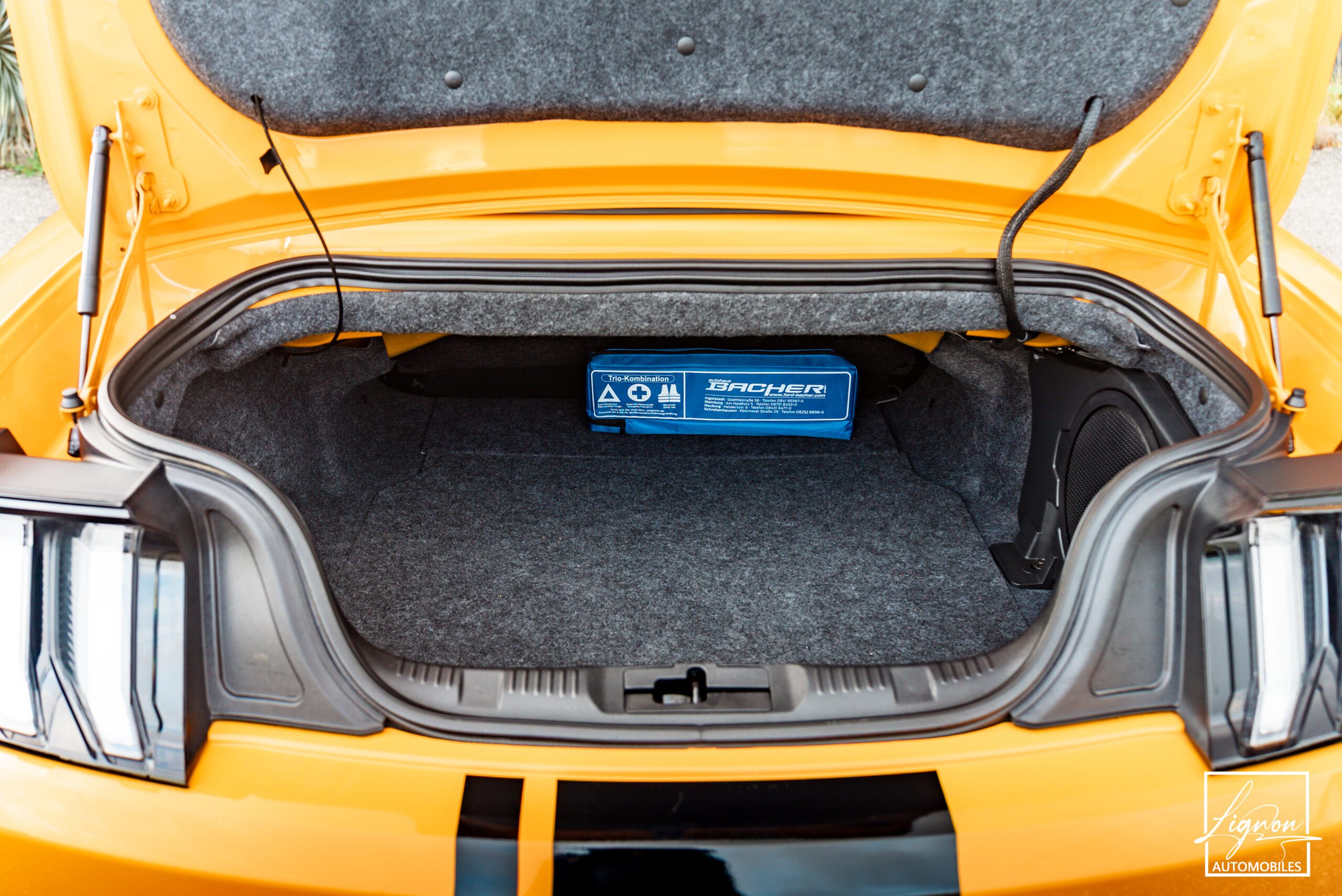 Photo Ford Mustang Cabriolet Gt 5.0l V8 450 Bva10 Premium - Magneride