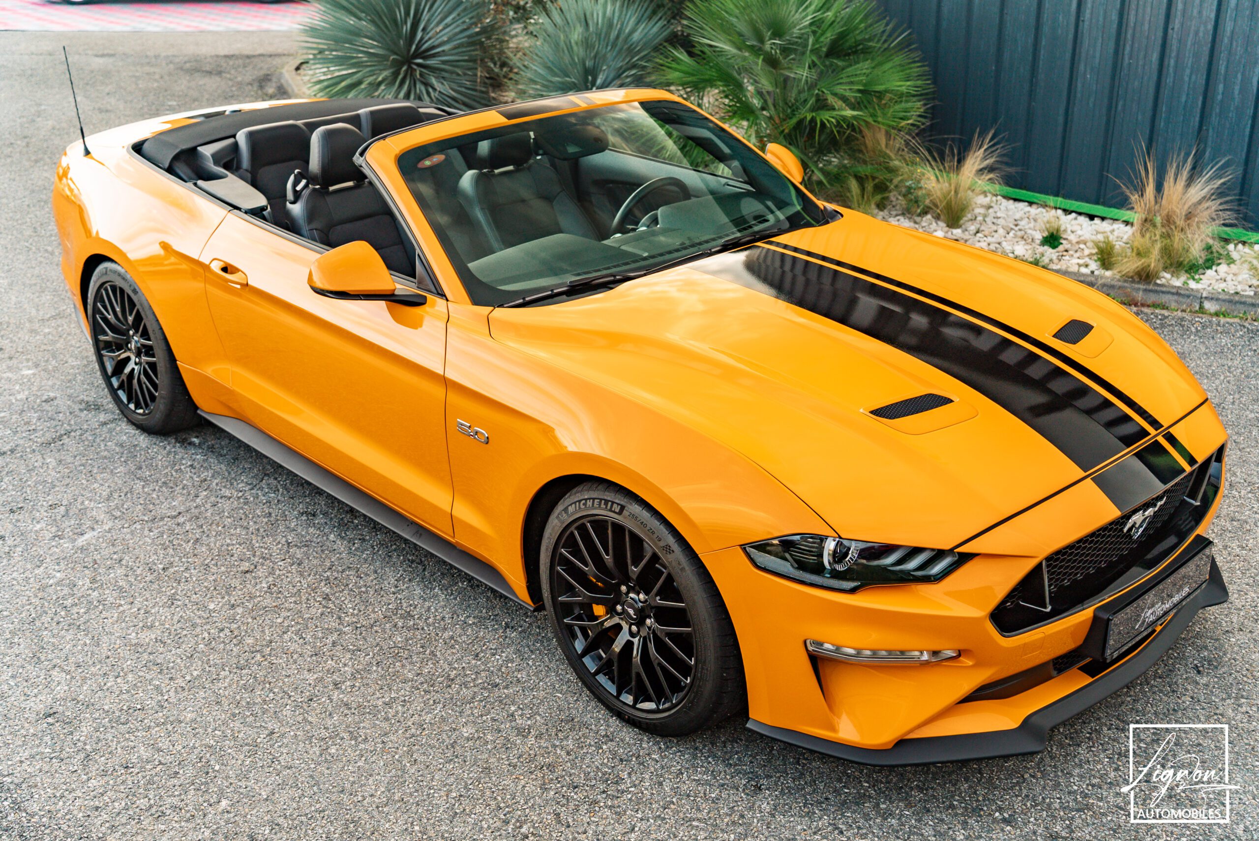 Photo Ford Mustang Cabriolet Gt 5.0l V8 450 Bva10 Premium - Magneride