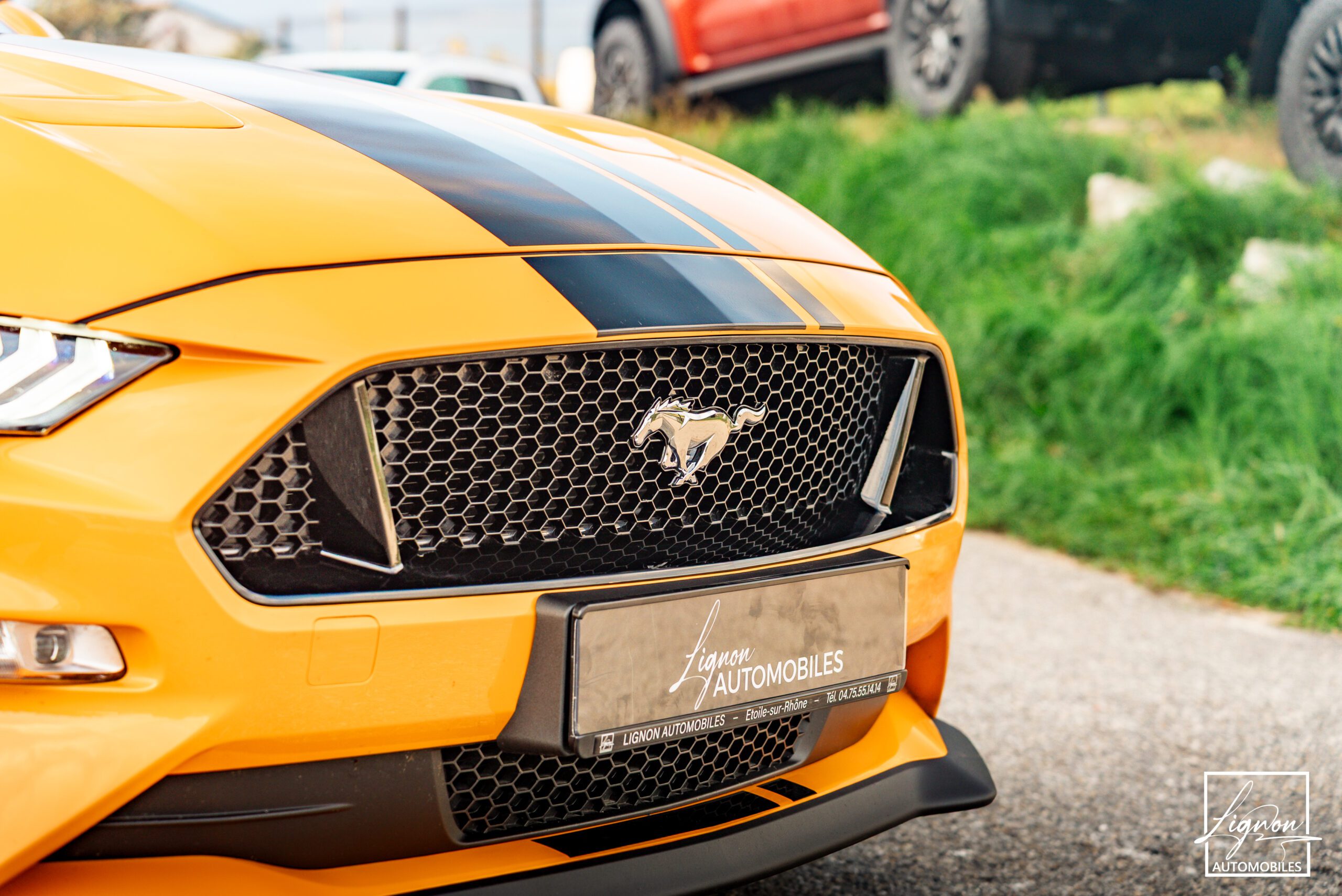 Photo Ford Mustang Cabriolet Gt 5.0l V8 450 Bva10 Premium - Magneride