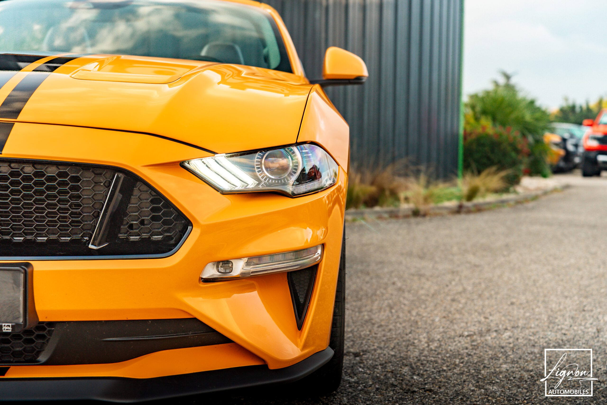 Photo Ford Mustang Cabriolet Gt 5.0l V8 450 Bva10 Premium - Magneride