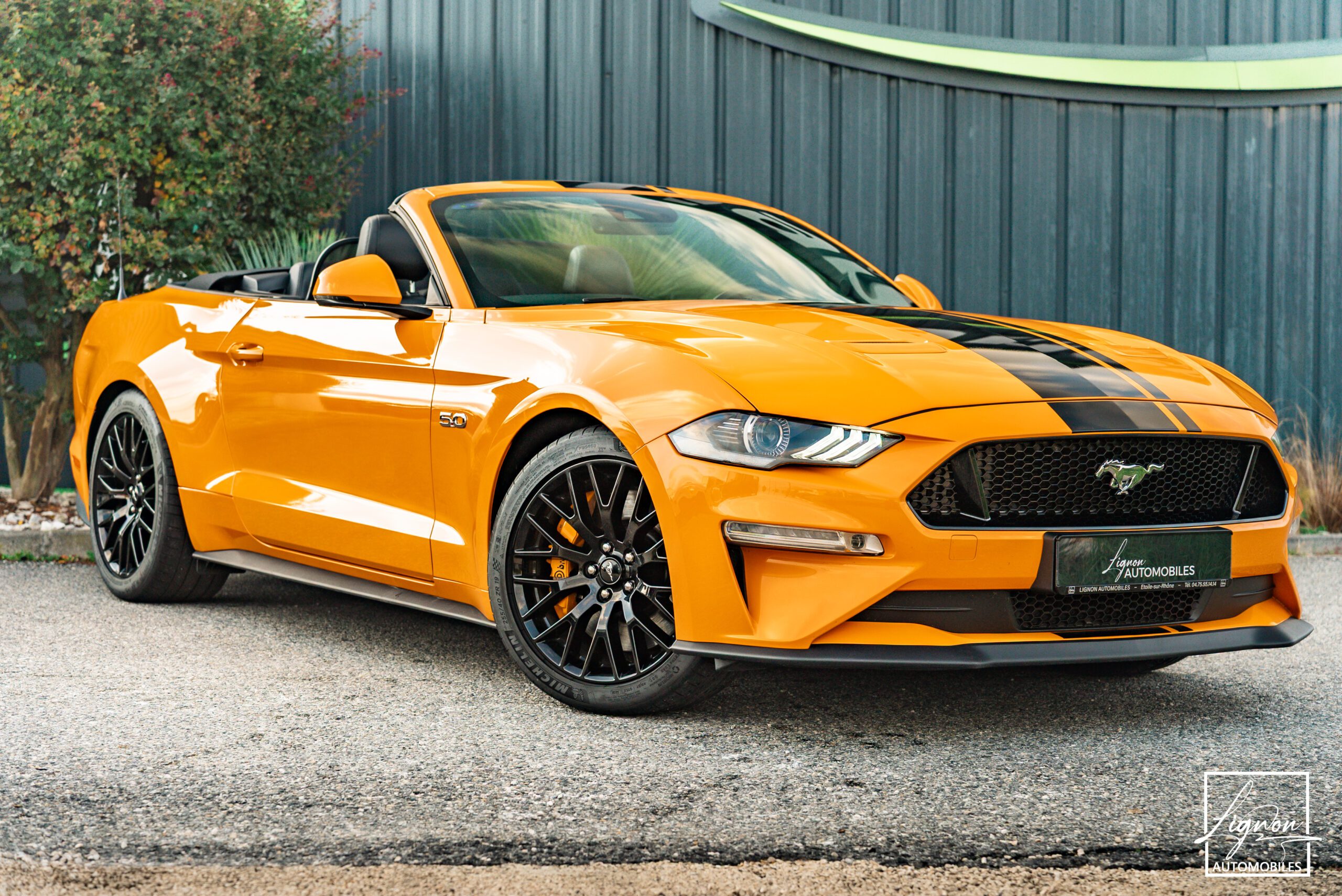 Ford Mustang Cabriolet Gt 5.0l V8 450 Bva10 Premium - Magneride